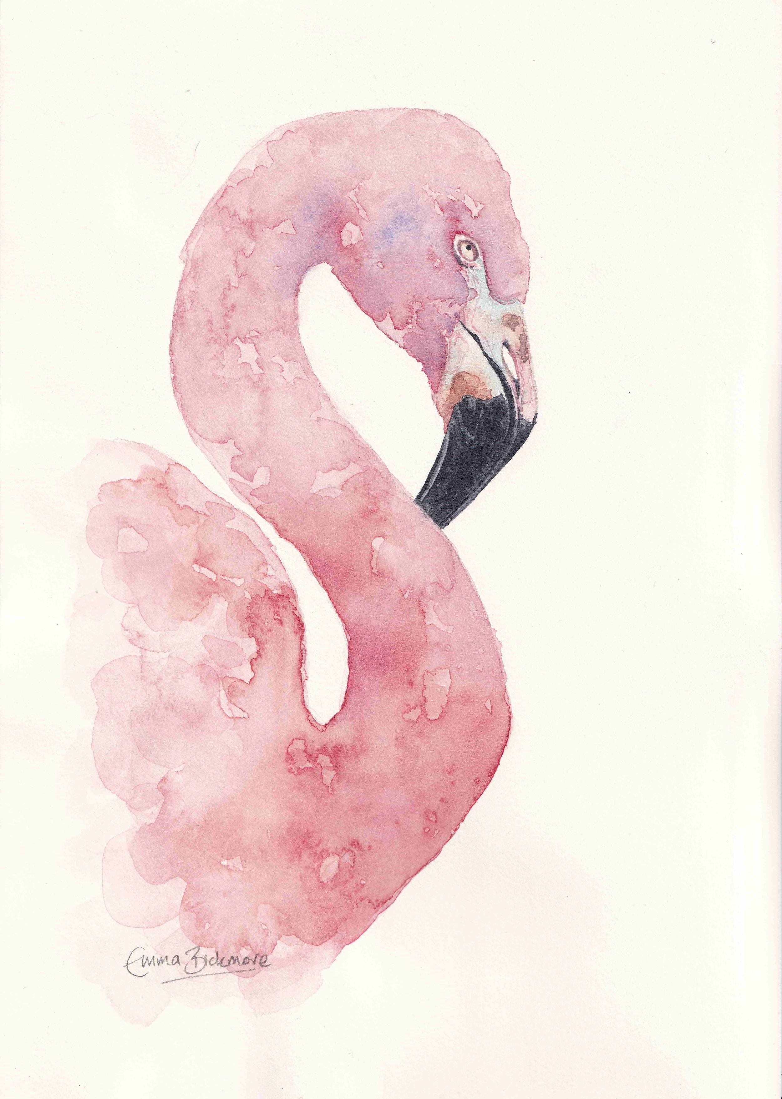 A Splash of Pink