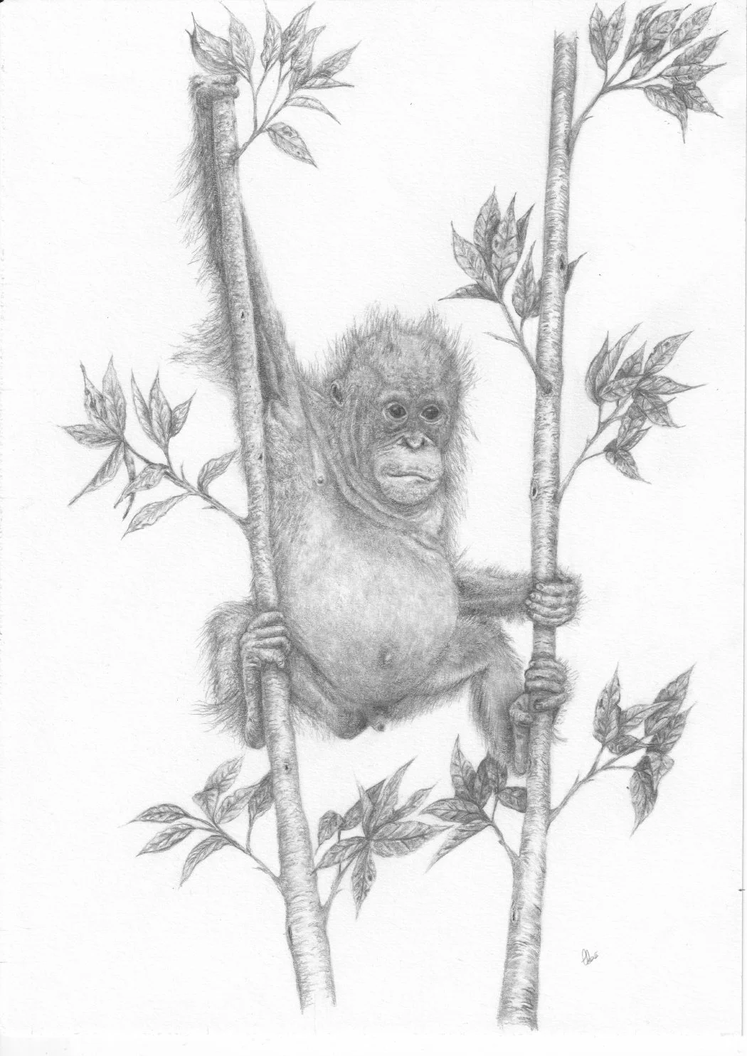 Hanging On