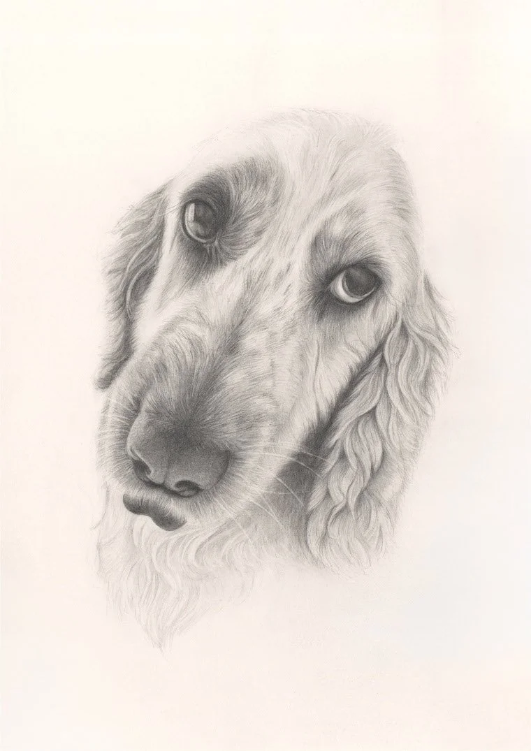 WILLIAMS_MARIJA_WHO ME__GRAPHITEONPAPER_A4.jpeg