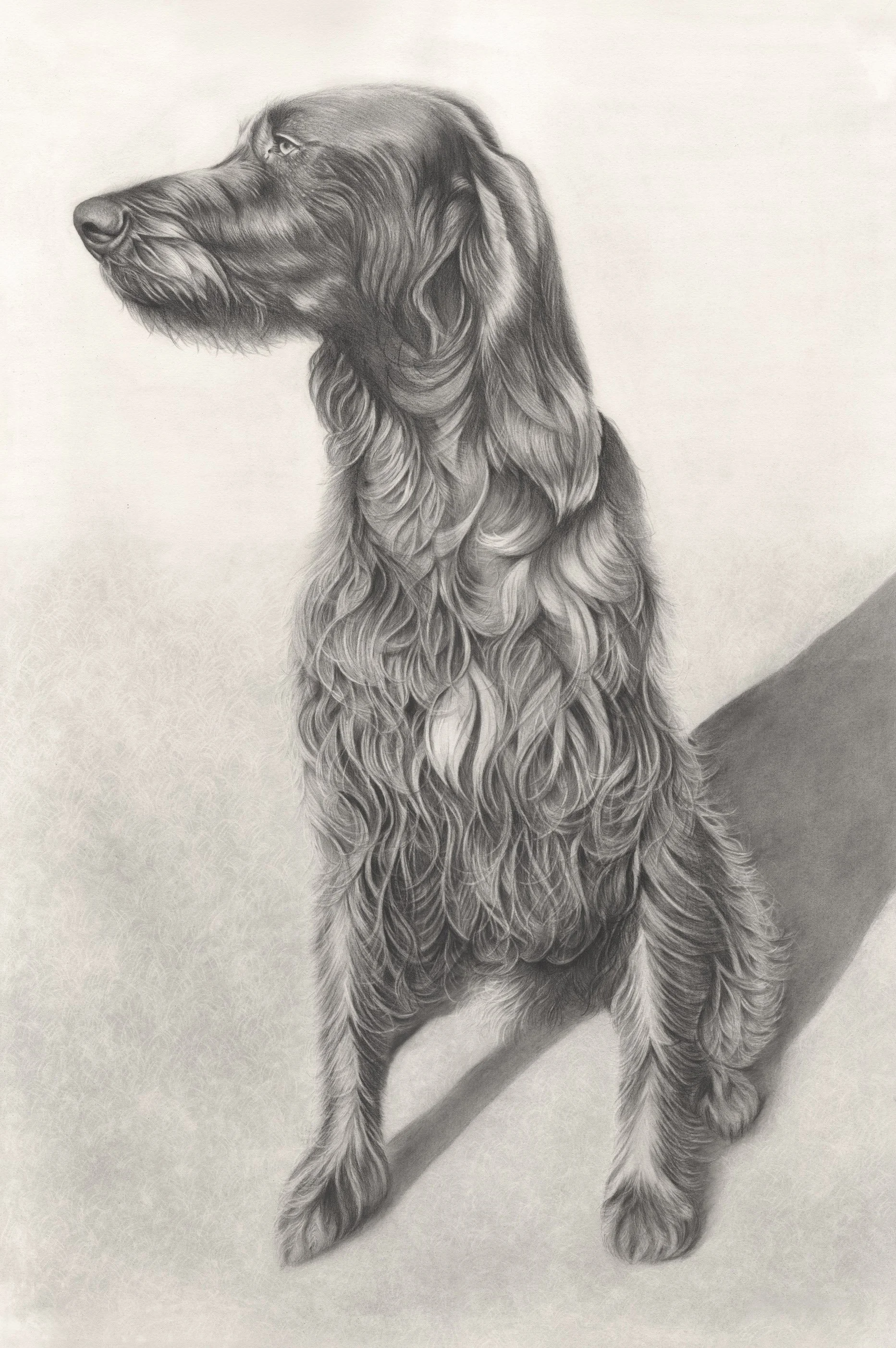 WILLIAMS_MARIJA_HER LADYSHIP_GRAPHITEONPAPER_83x57cm.jpeg