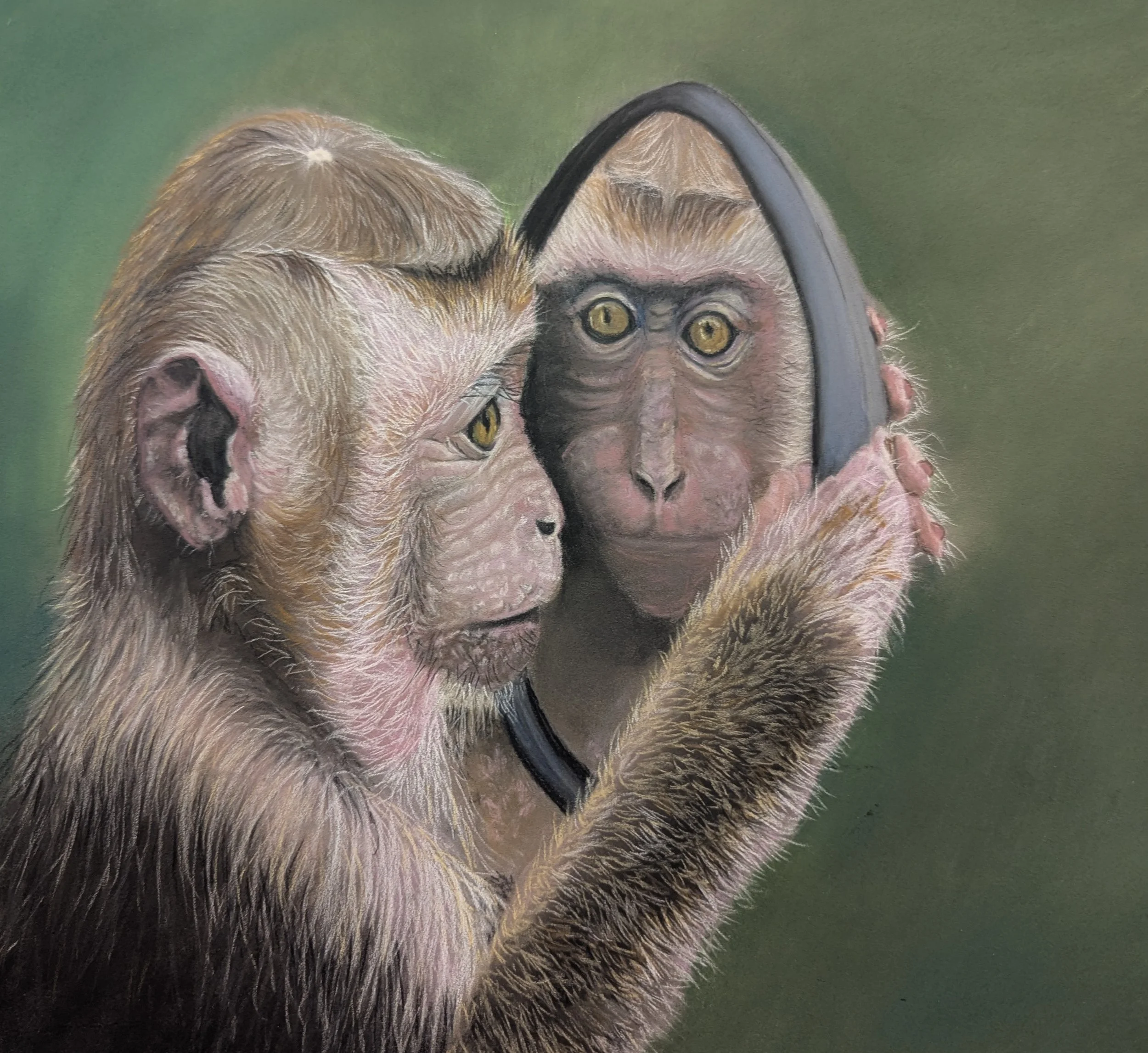Harvey_Aileen_Through the looking glass_Framed_Pastel 47cm x 42cm.jpg