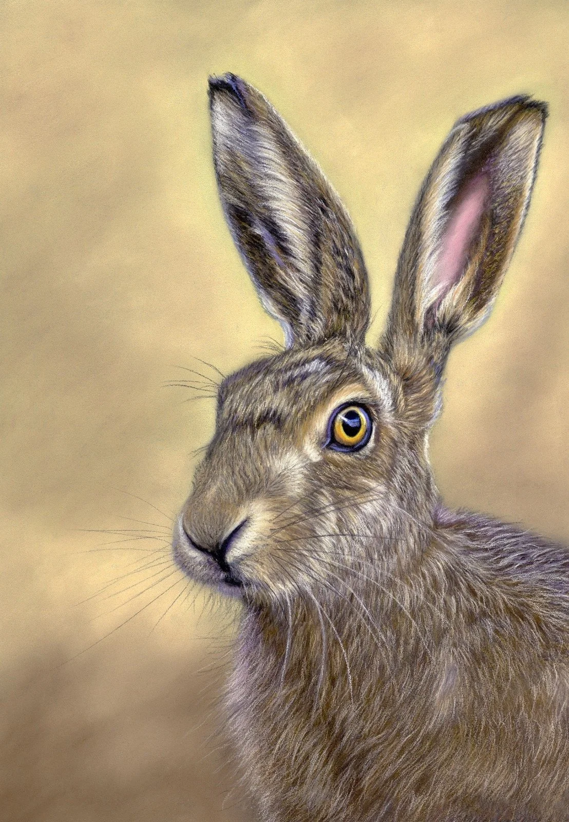 Lewis_Caroline_Hare_framed.jpeg