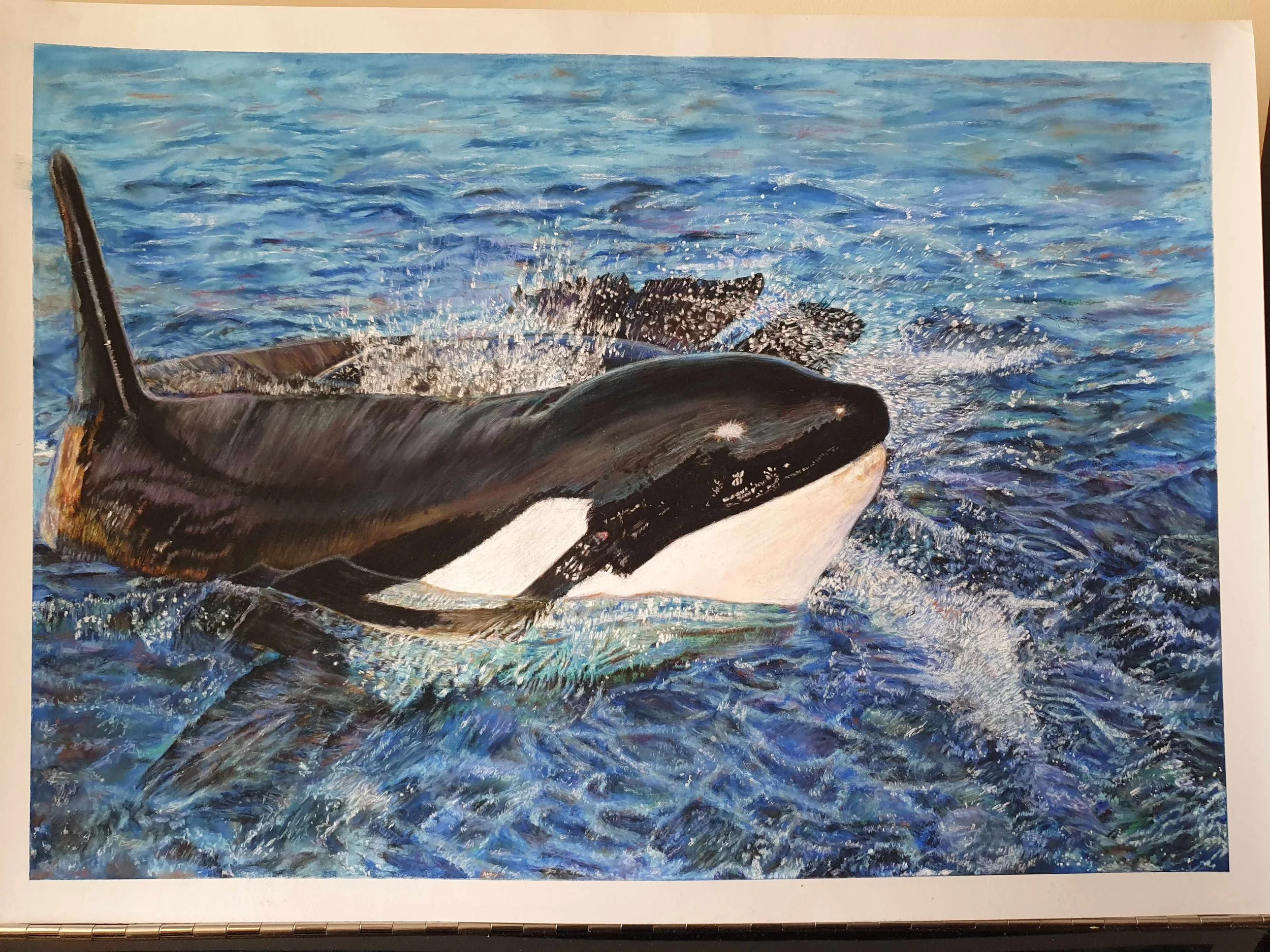 Kadoo_Debbie_Orca_Framed.jpg