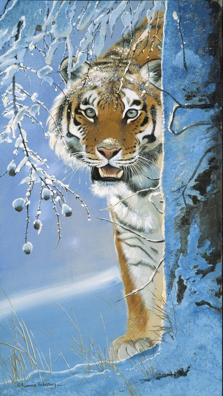 The Big Freeze