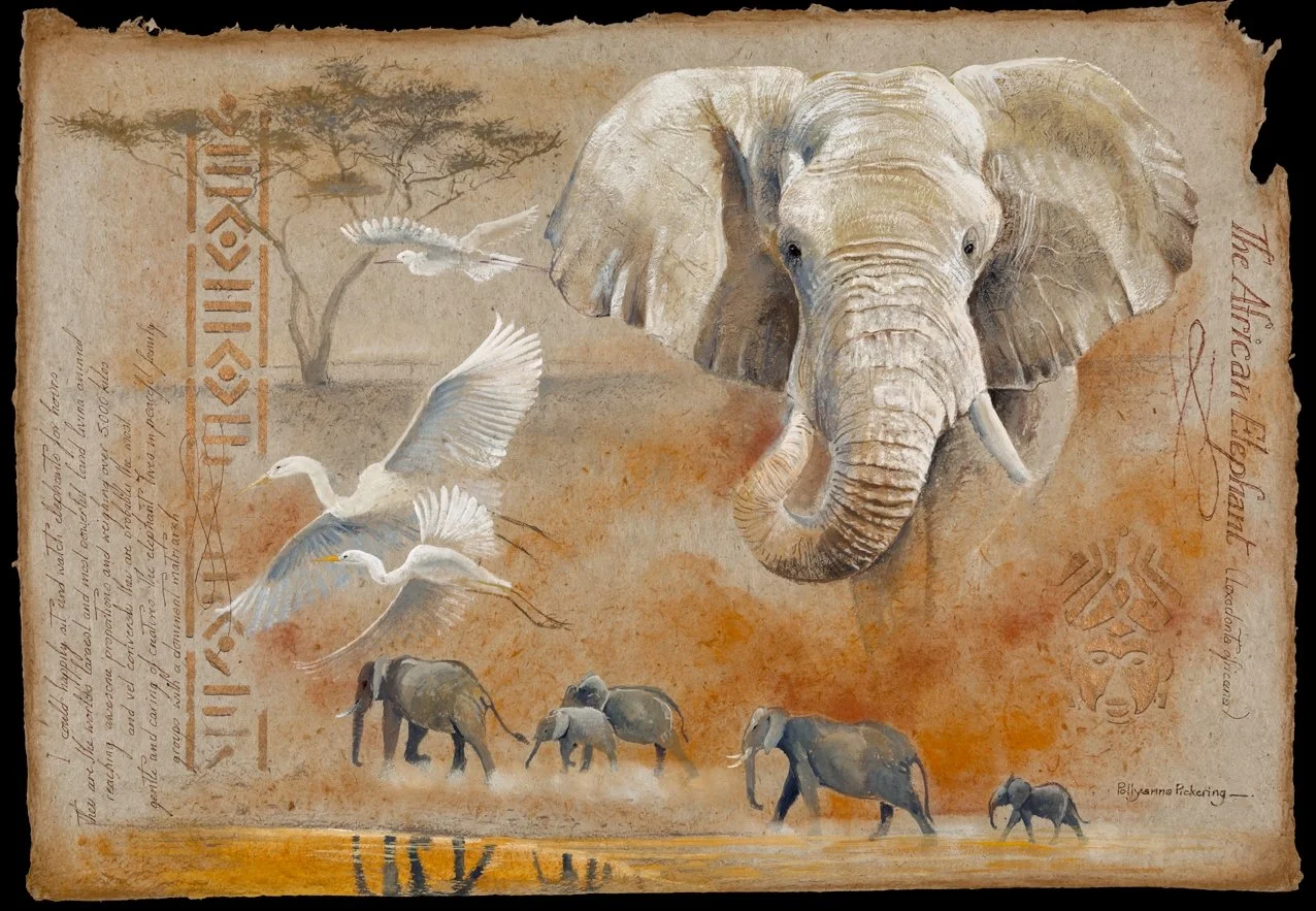 Study of Elephants