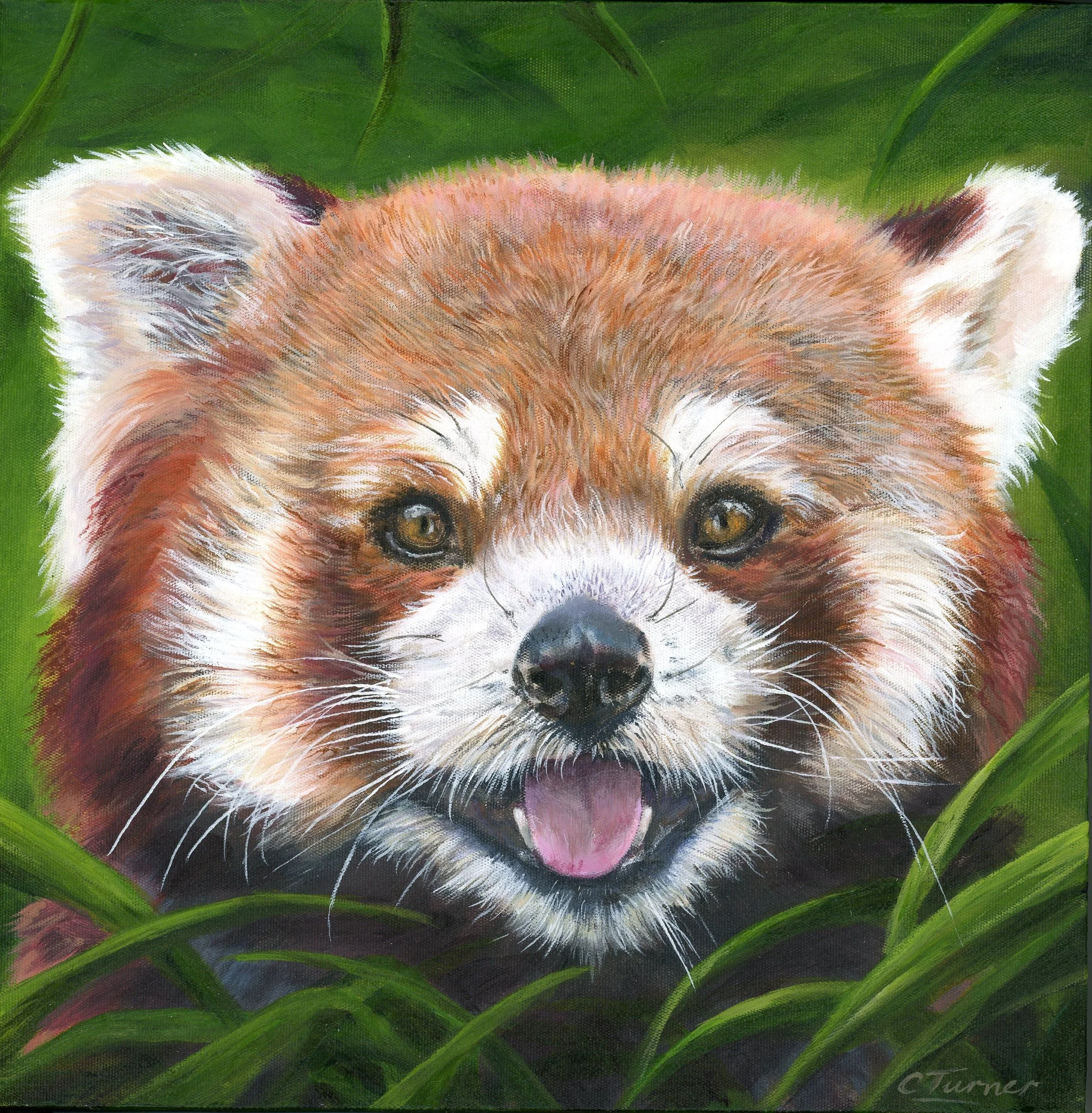 TURNER - CAROLE - RED PANDA JOY - FRAMEDjpg.jpg
