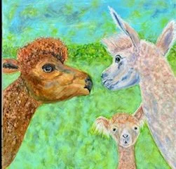 WelchThornton_Alison_AlpacaGossip_Frame.jpg