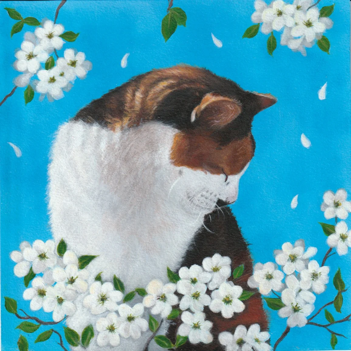 BUCKLE_JACKIE_TORTIE_ACRYLICS_20CM.jpg