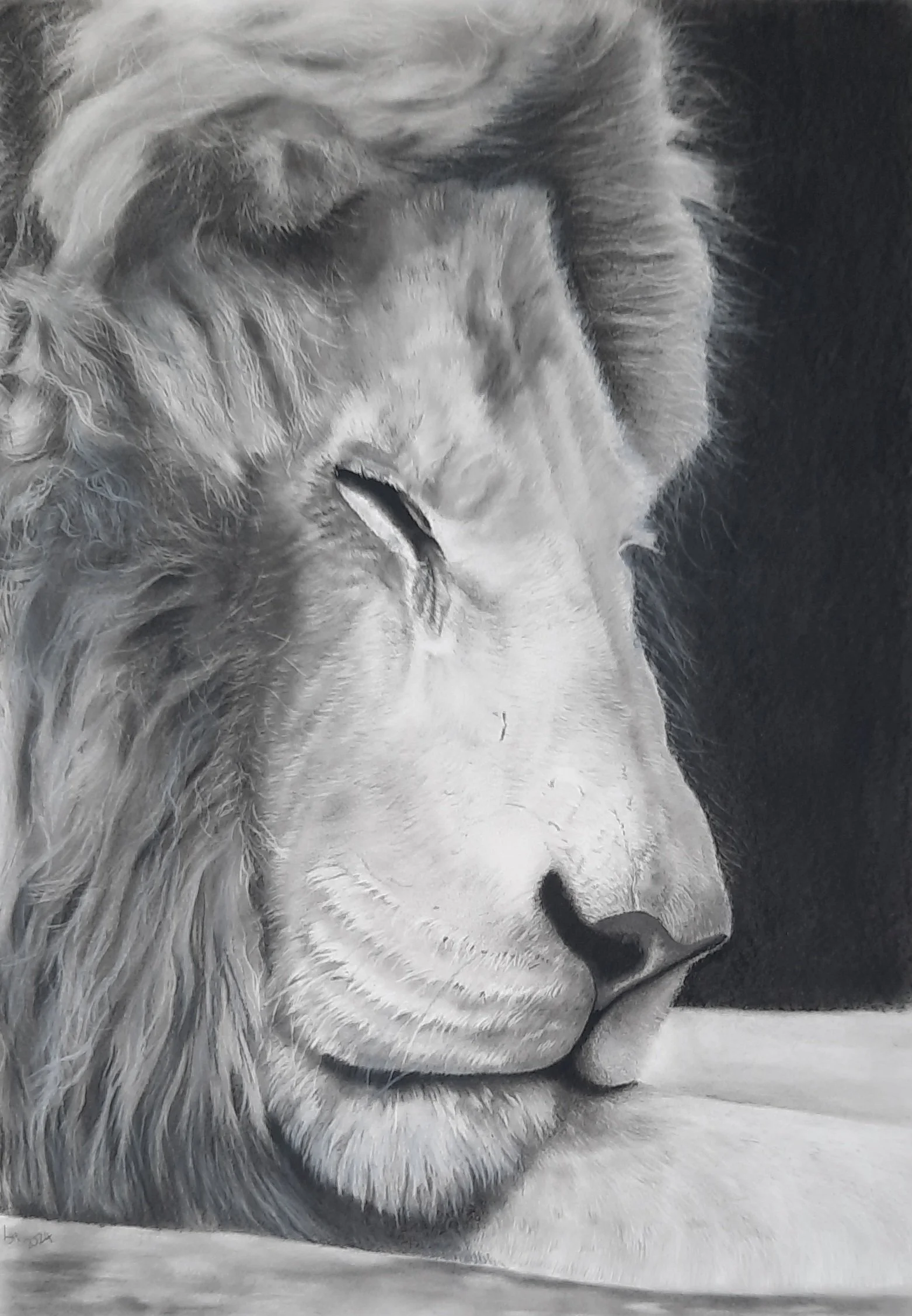 HammondLaura_Casper_charcoal&graphite_600x400.jpg