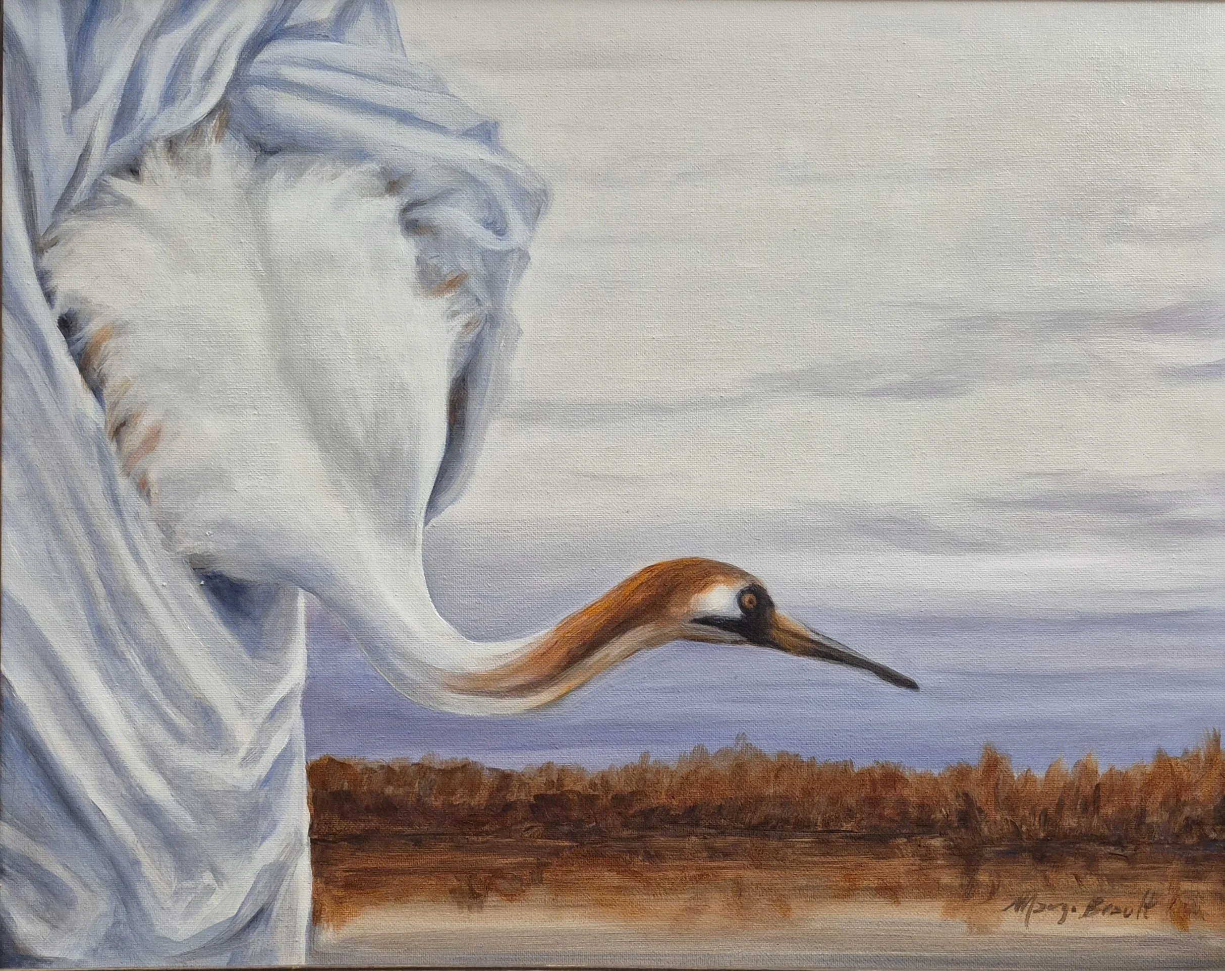 Endangered Juvenile Whooping Crane on Way to Release Site