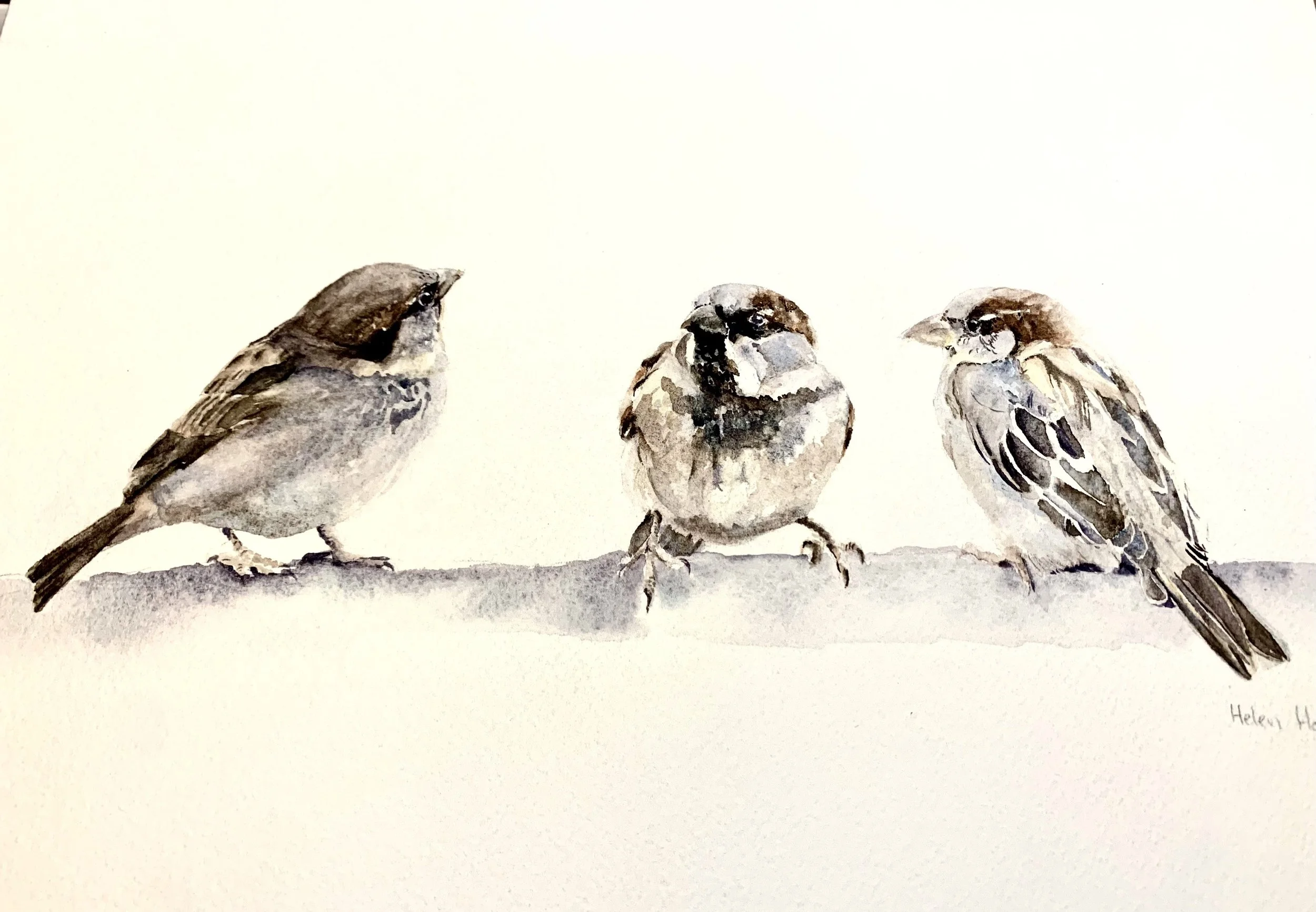 Hobbs_Helen_Trio of Sparrows_online.jpg