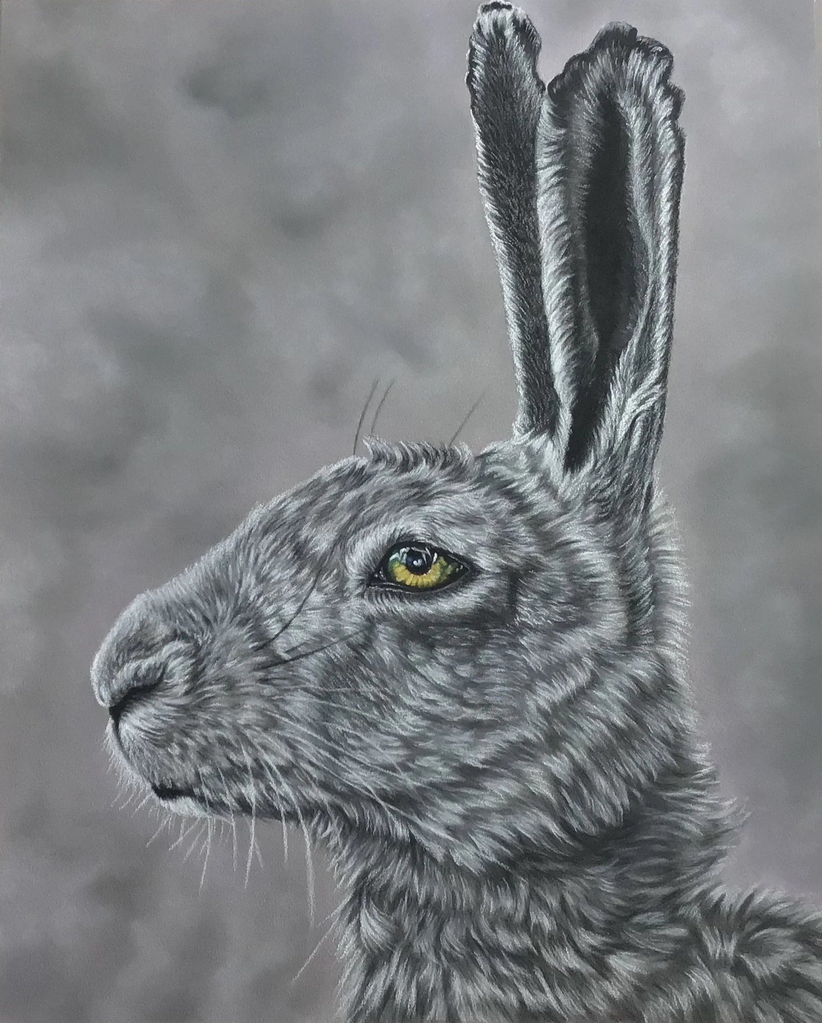 Firmstone_Stella_The March Hare_online.jpeg