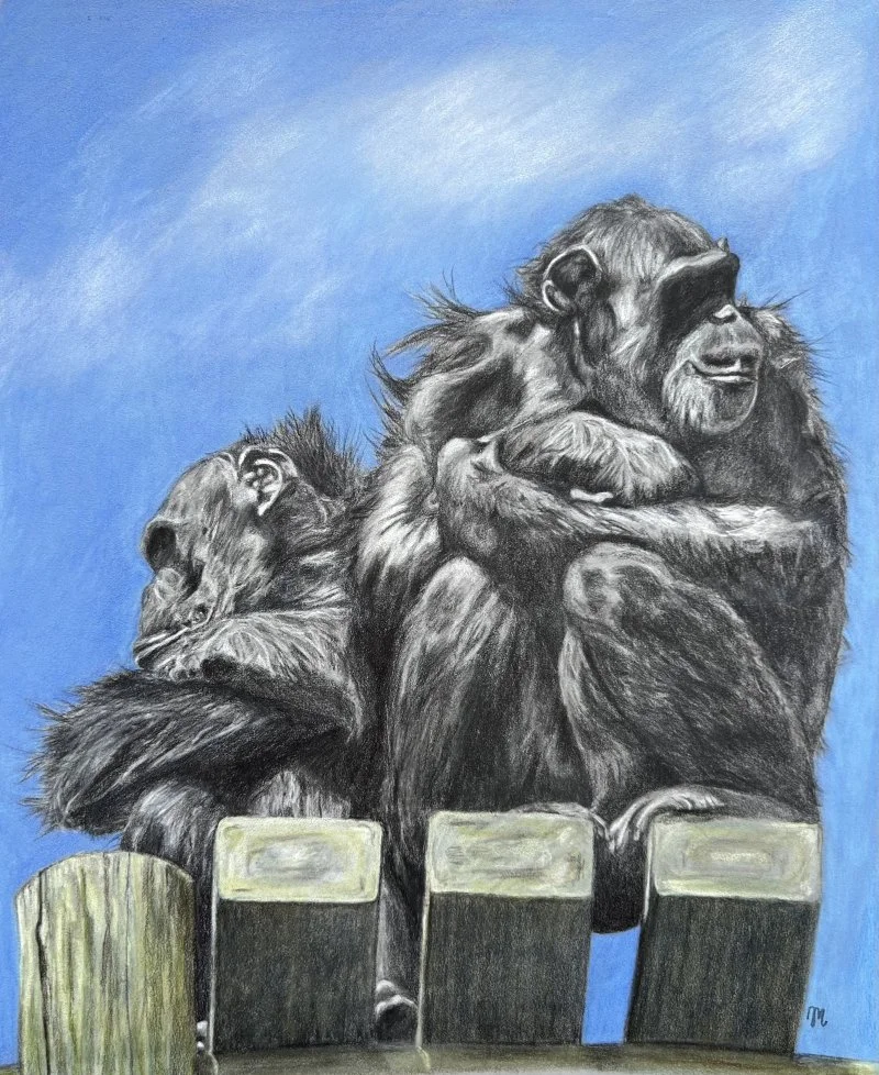 Molloy_Joanne_Hear no evil_Unframed_2516.jpg