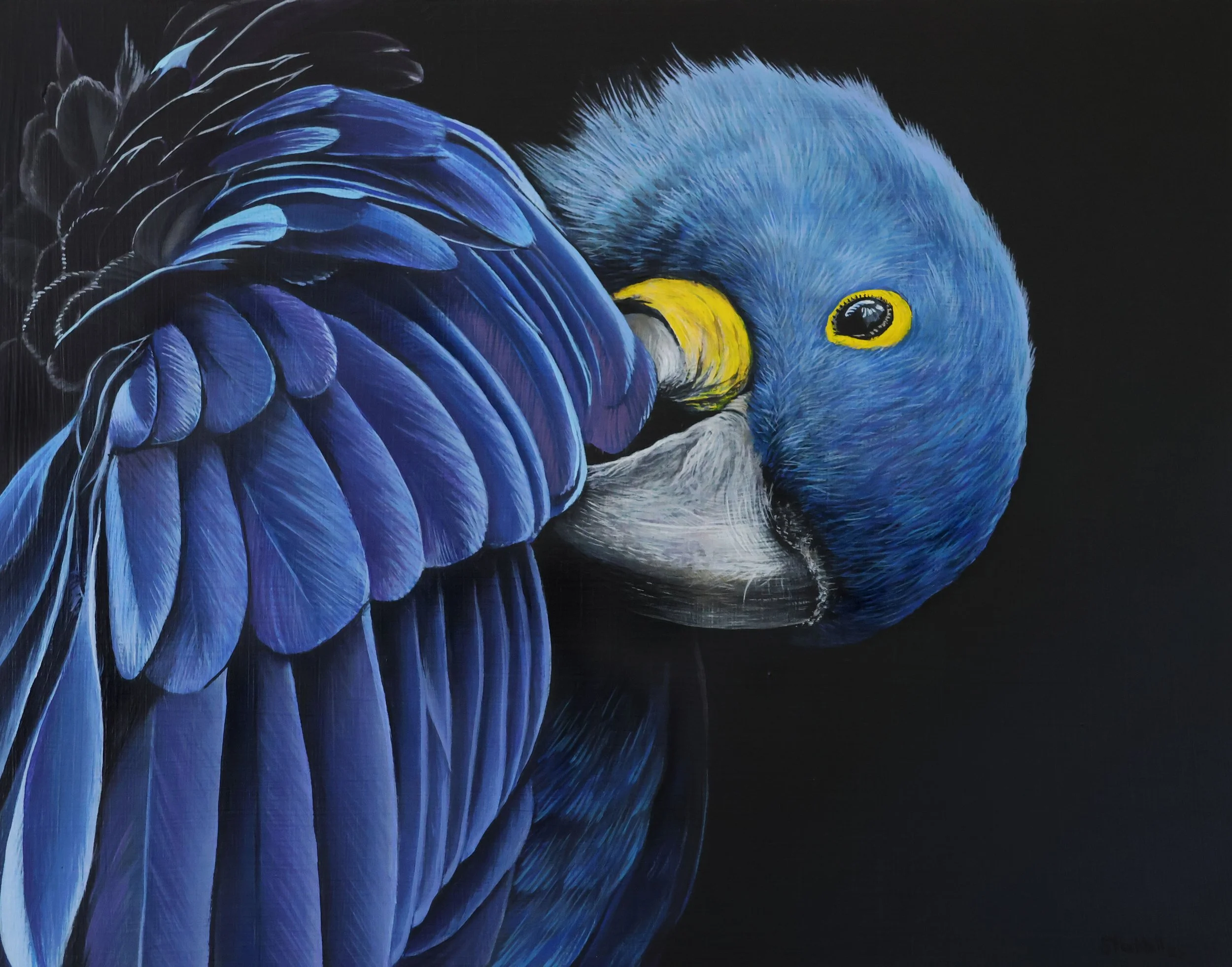 Parkhill_Sophie_Beleza Azul_Online.jpg