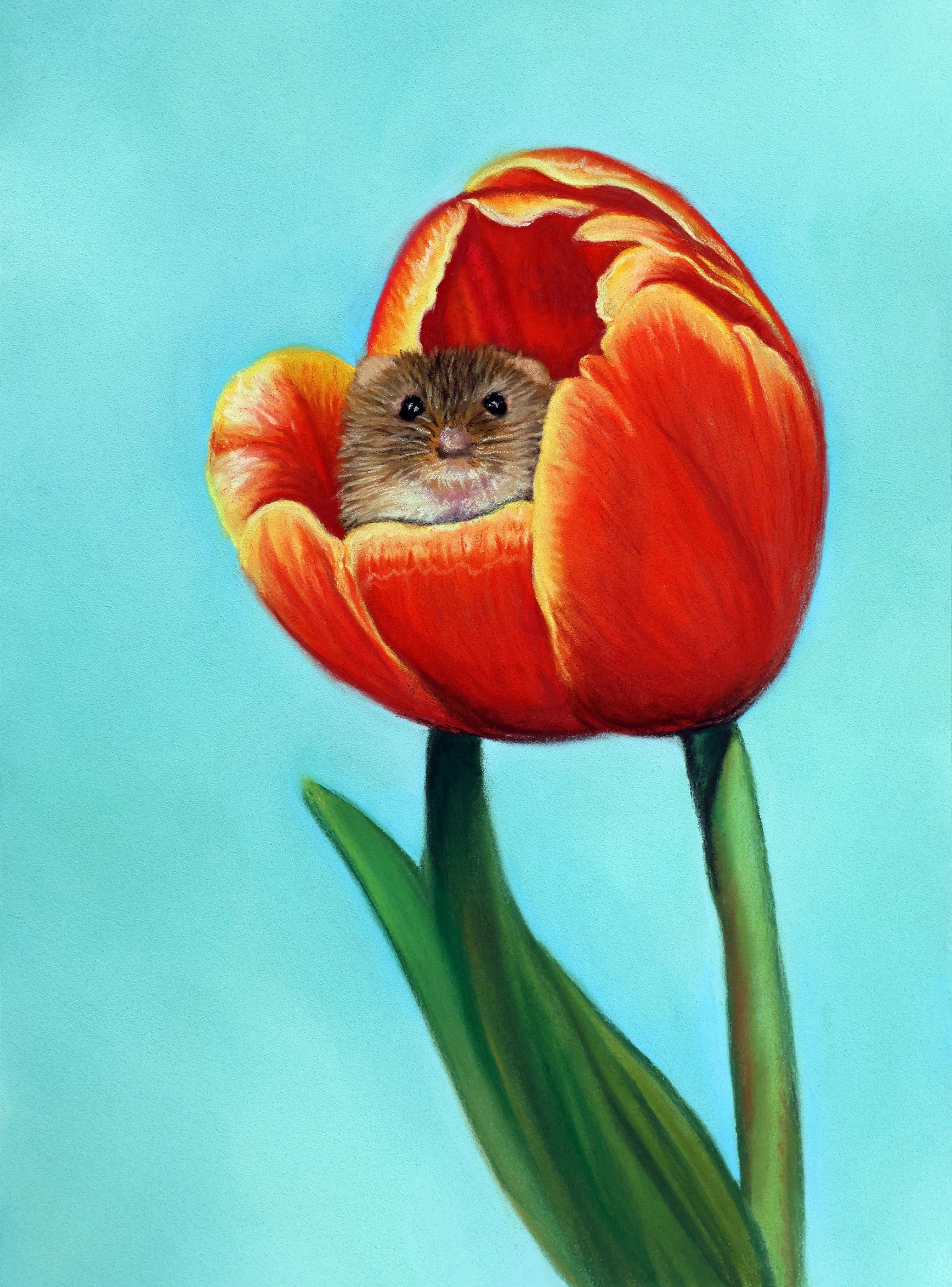 Parkhill_Sophie_Tulip Mouse_Online.jpg