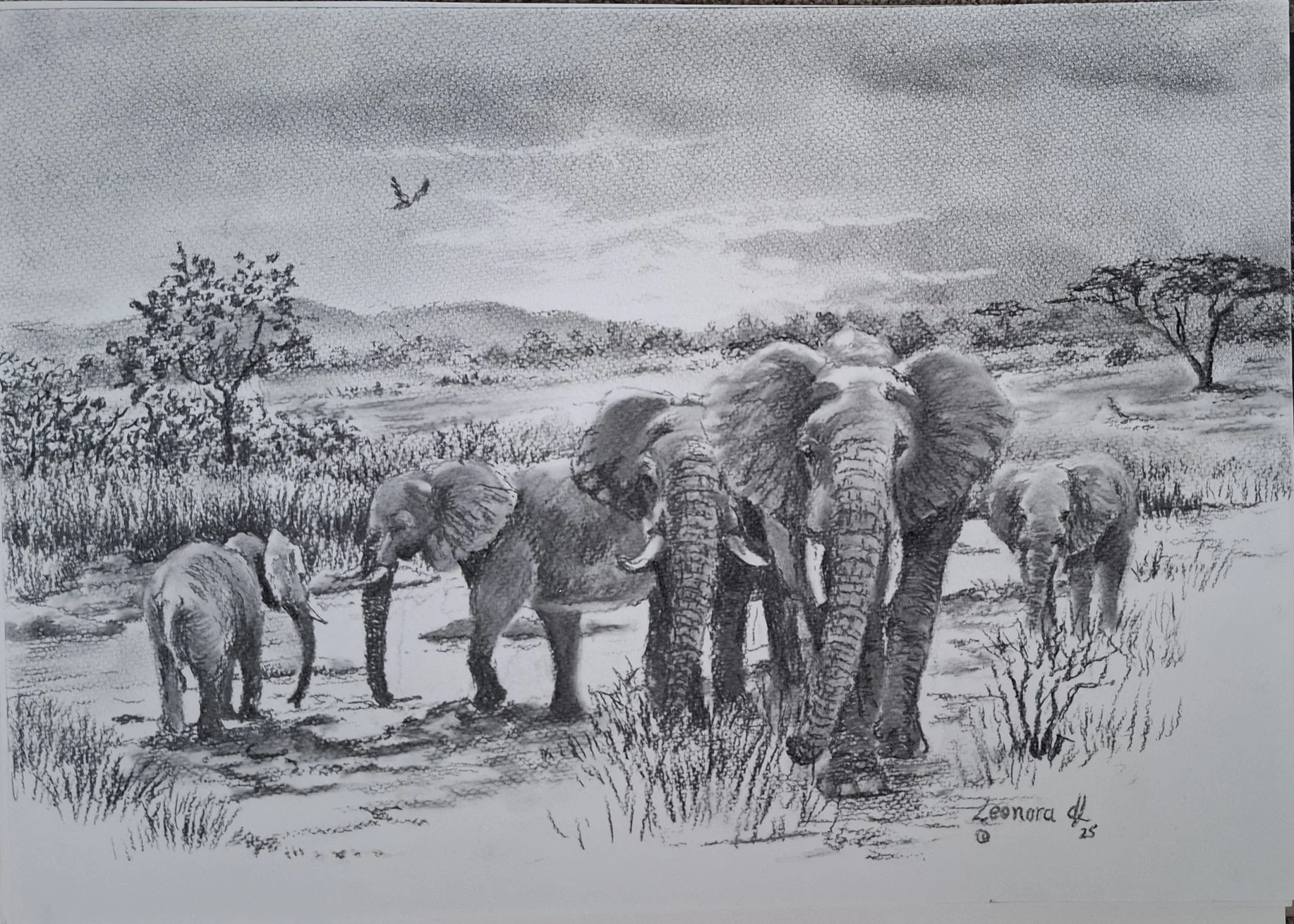 Elephant Family Gathering