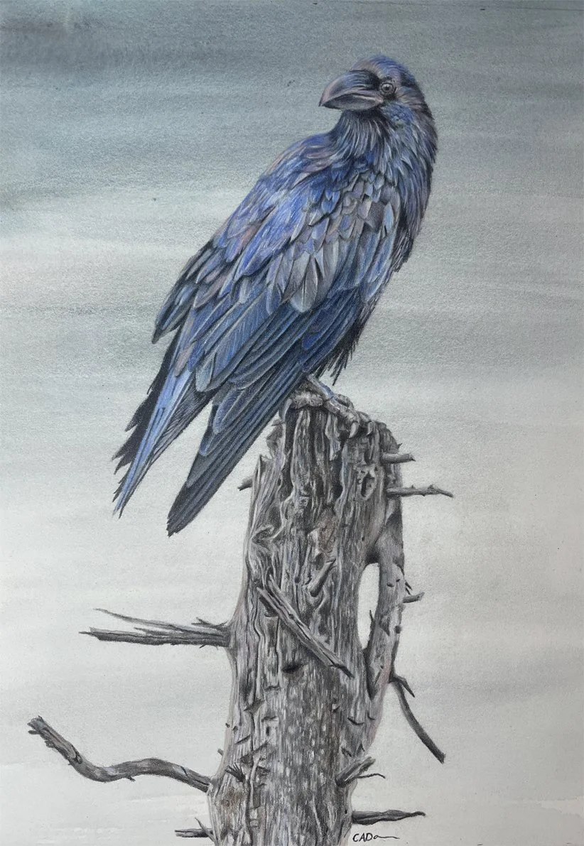 The Shadows Know Your Name