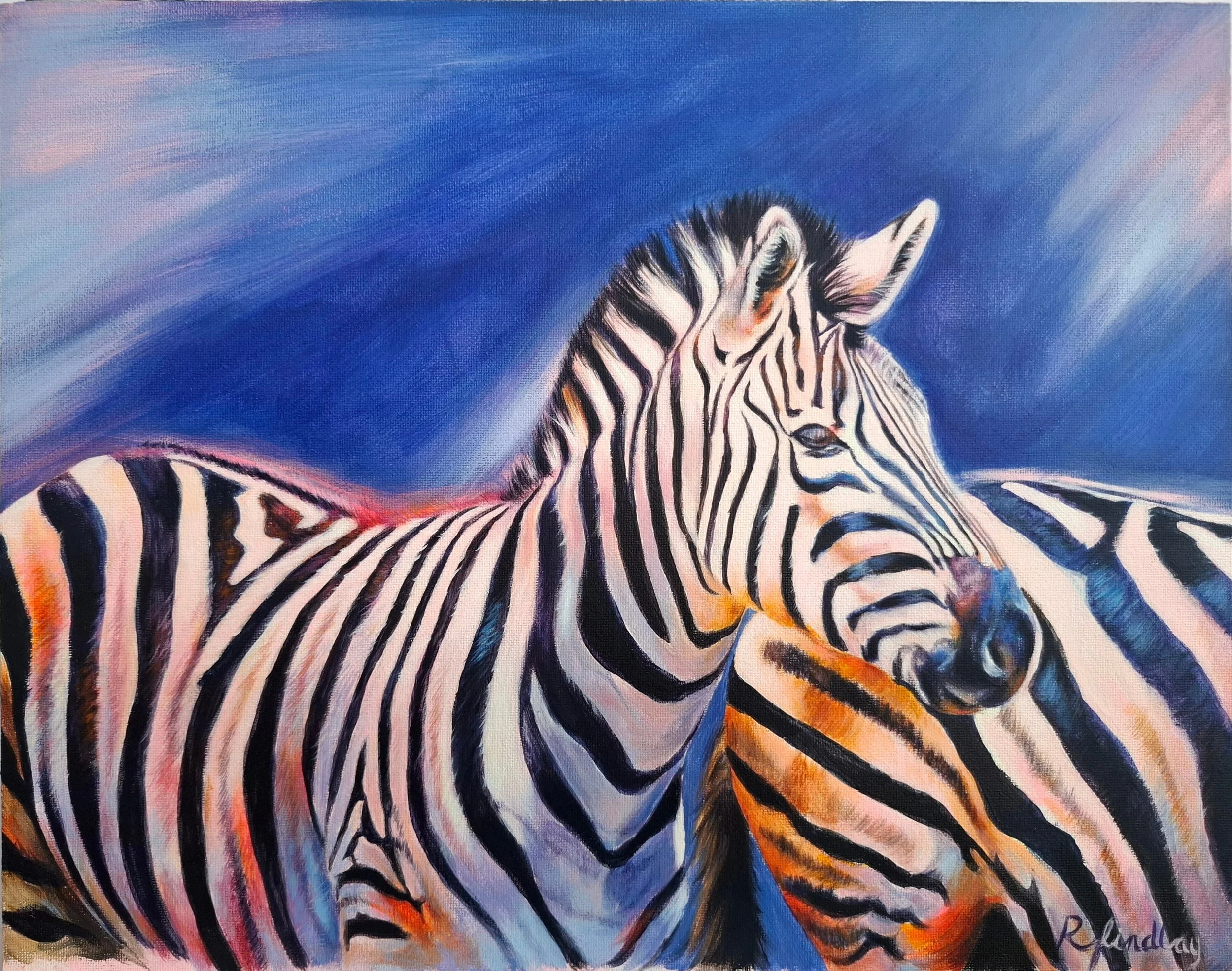 Zebra Study