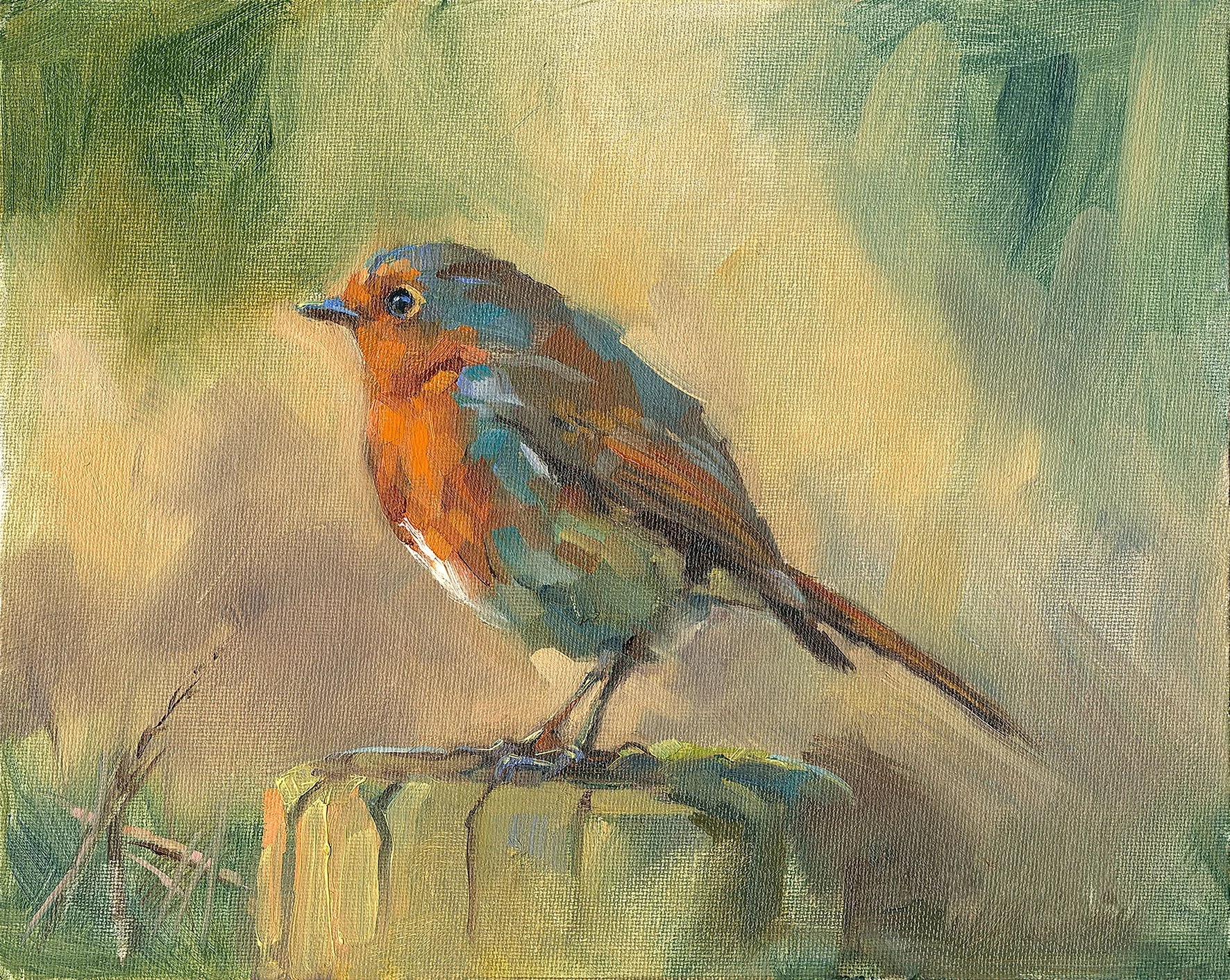 Guardian of the Garden - Robin