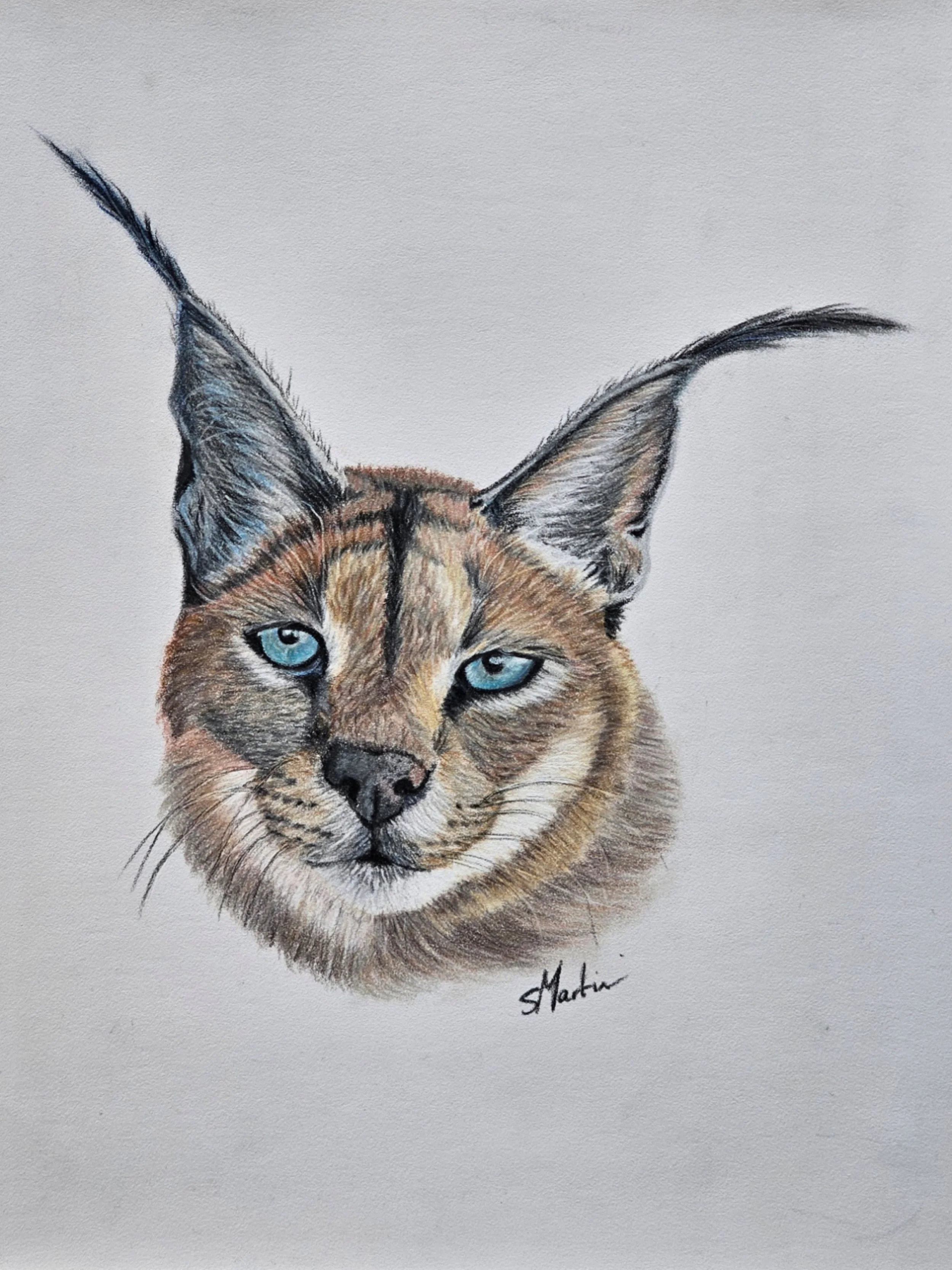 Caracal