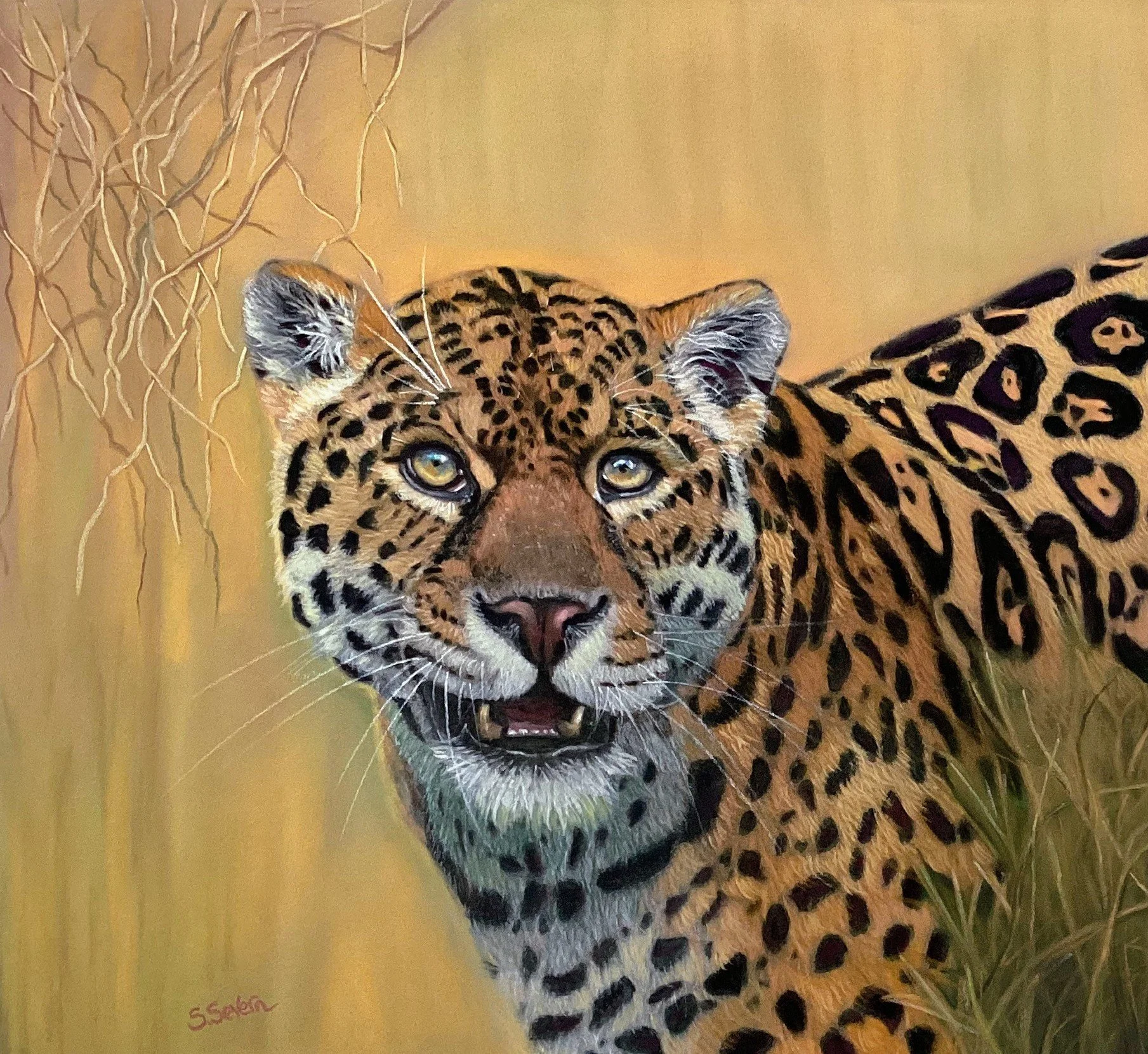 "Searching" For My Next Meal.