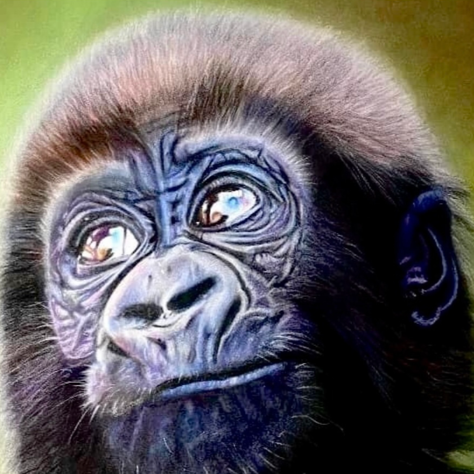  Pam Thompson Coloured pencils - polychromos and pastel pencils (Pitt),  21 × 29 cm, £250 Photo Ref: Artists own Ships from United Kingdom  https://www.instagram.com/Pammiethompsonart  