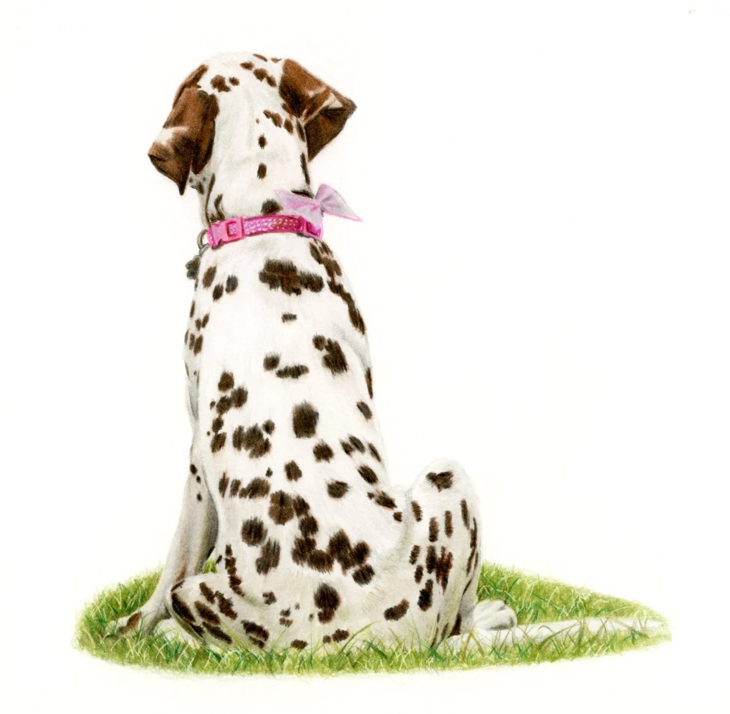 Dilly Dally Daydream