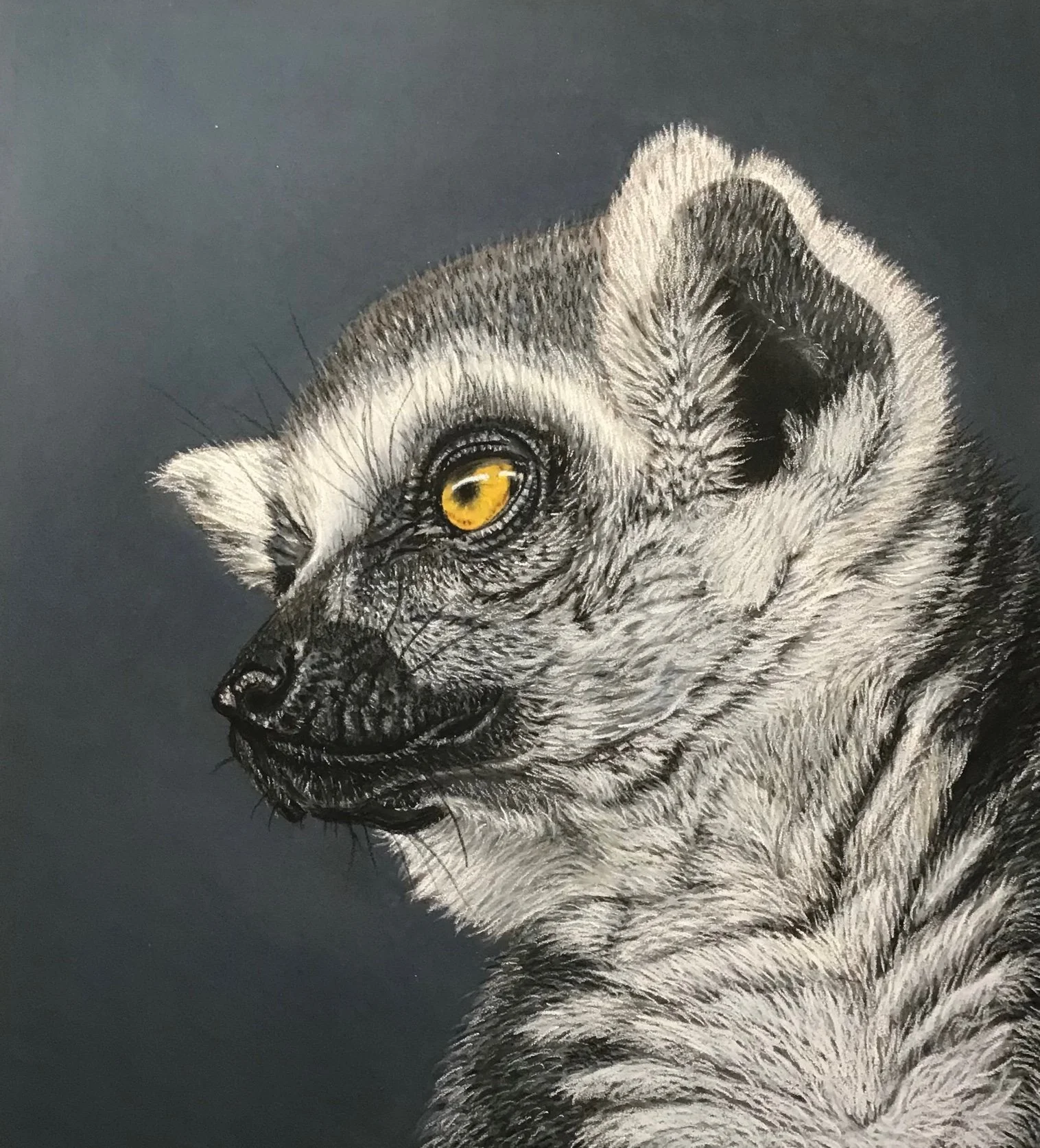 Lemur