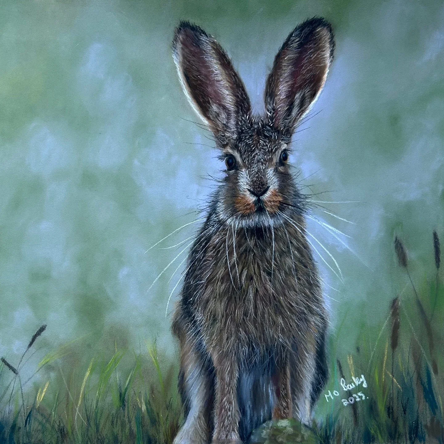 Bailey_Mo_Hare at Dawn_Framed.jpg