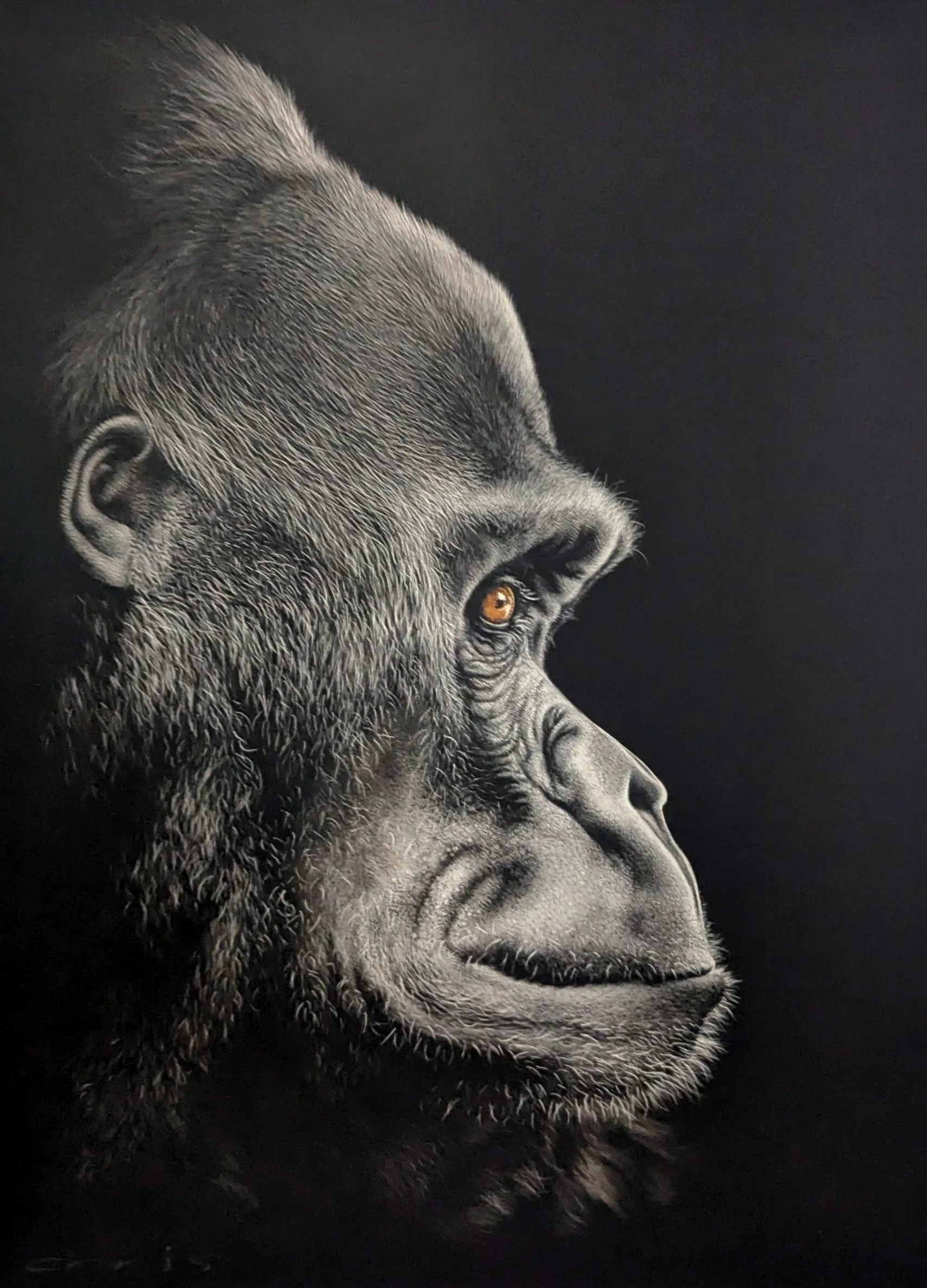 Ball_Chris_Primal Wisdom_framed.jpg