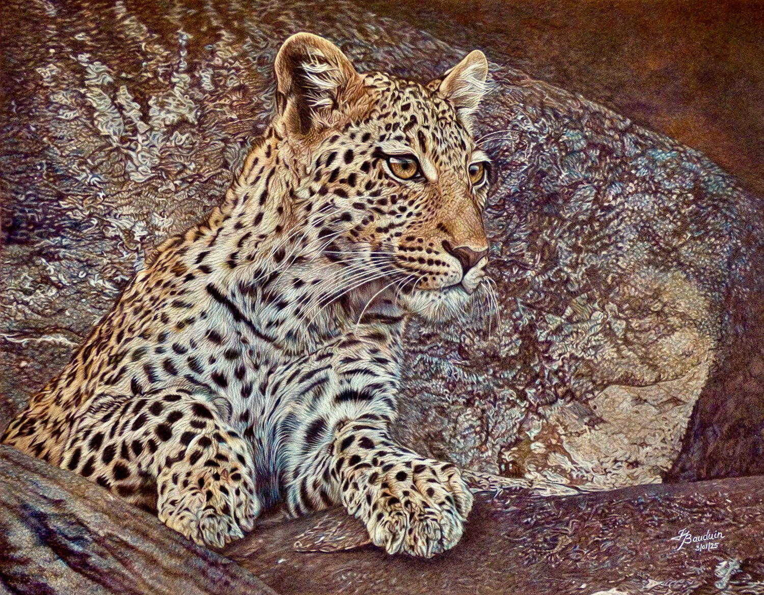 Bauduin_France_Rock_Leopard_framed.jpg