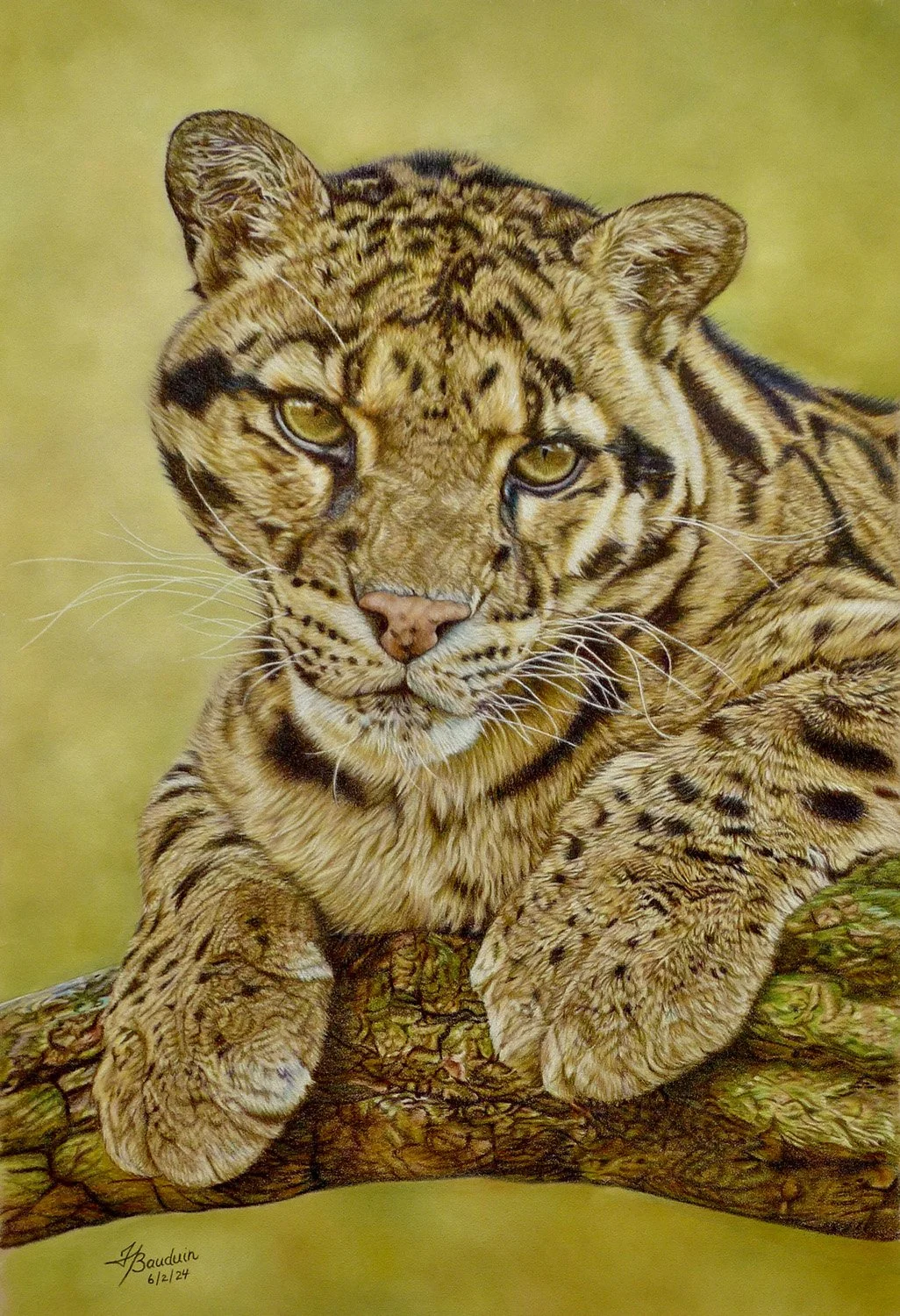 Bauduin_France_Sad_Clouded_Leopard_framed.jpg