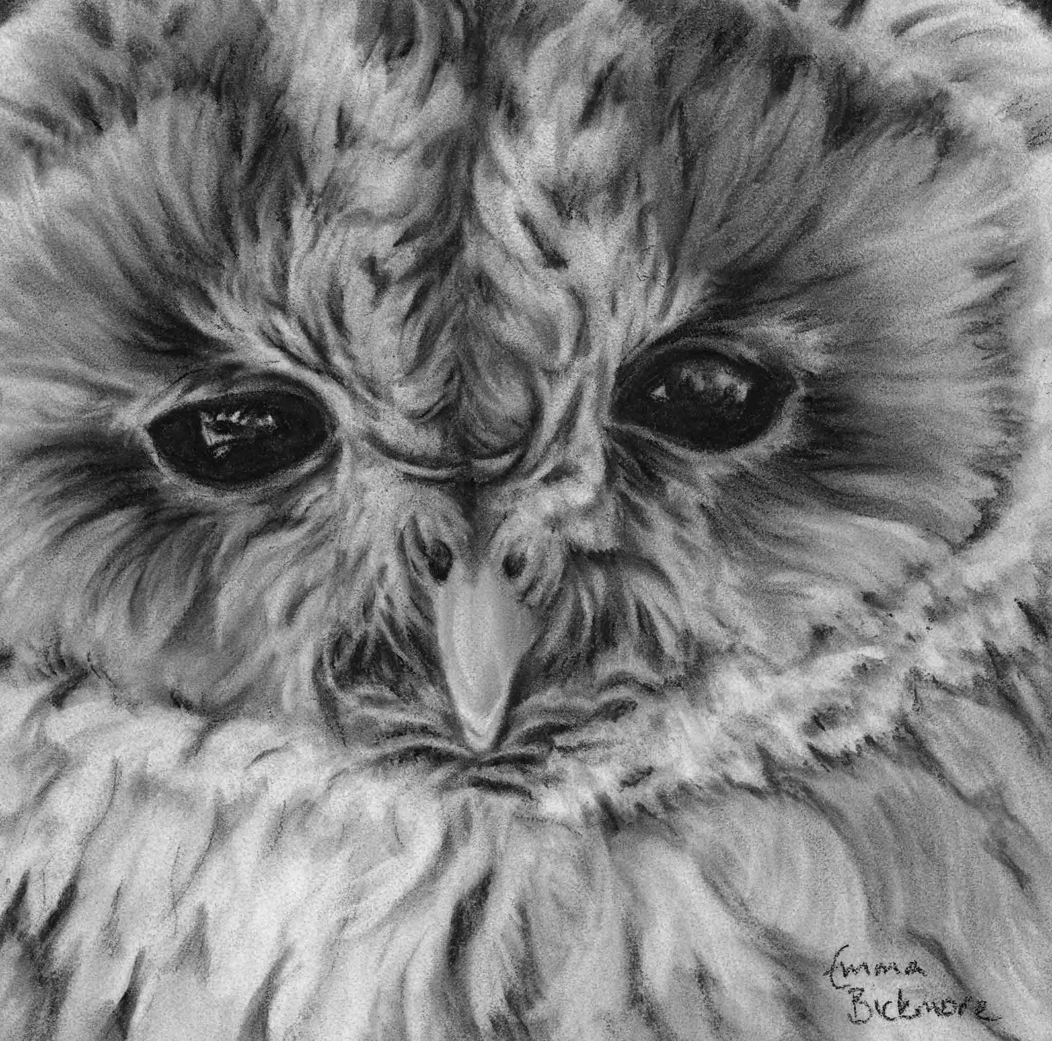 Bickmore_Emma_Being Watched_framed.jpg