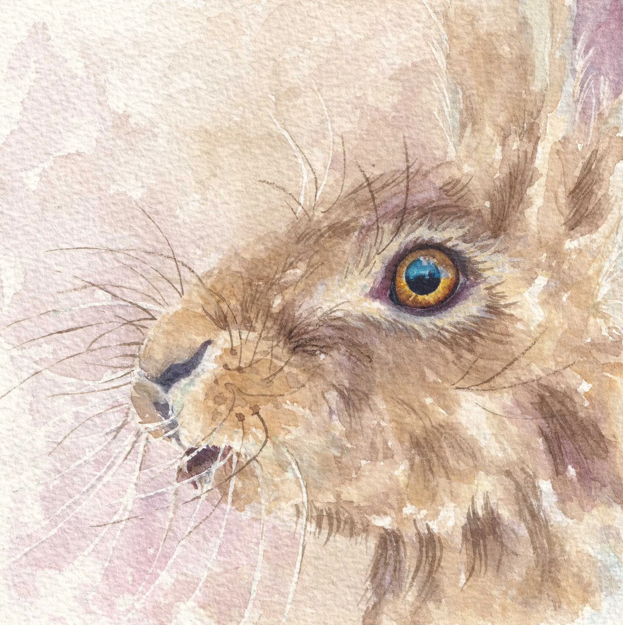 Bickmore_Emma_Here Hare Here_framed.jpg