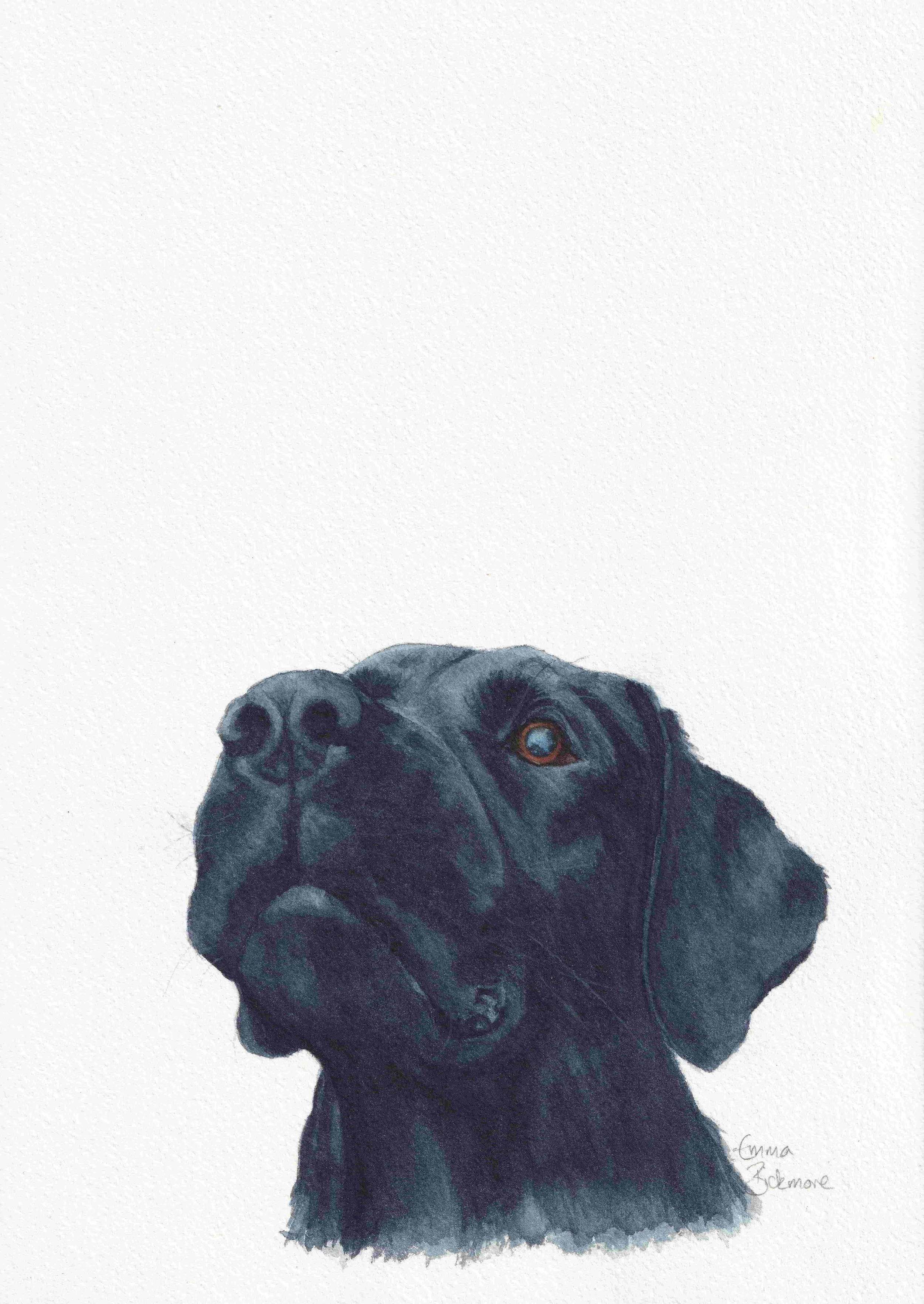 Bickmore_Emma_Study In Indigo_framed.JPG