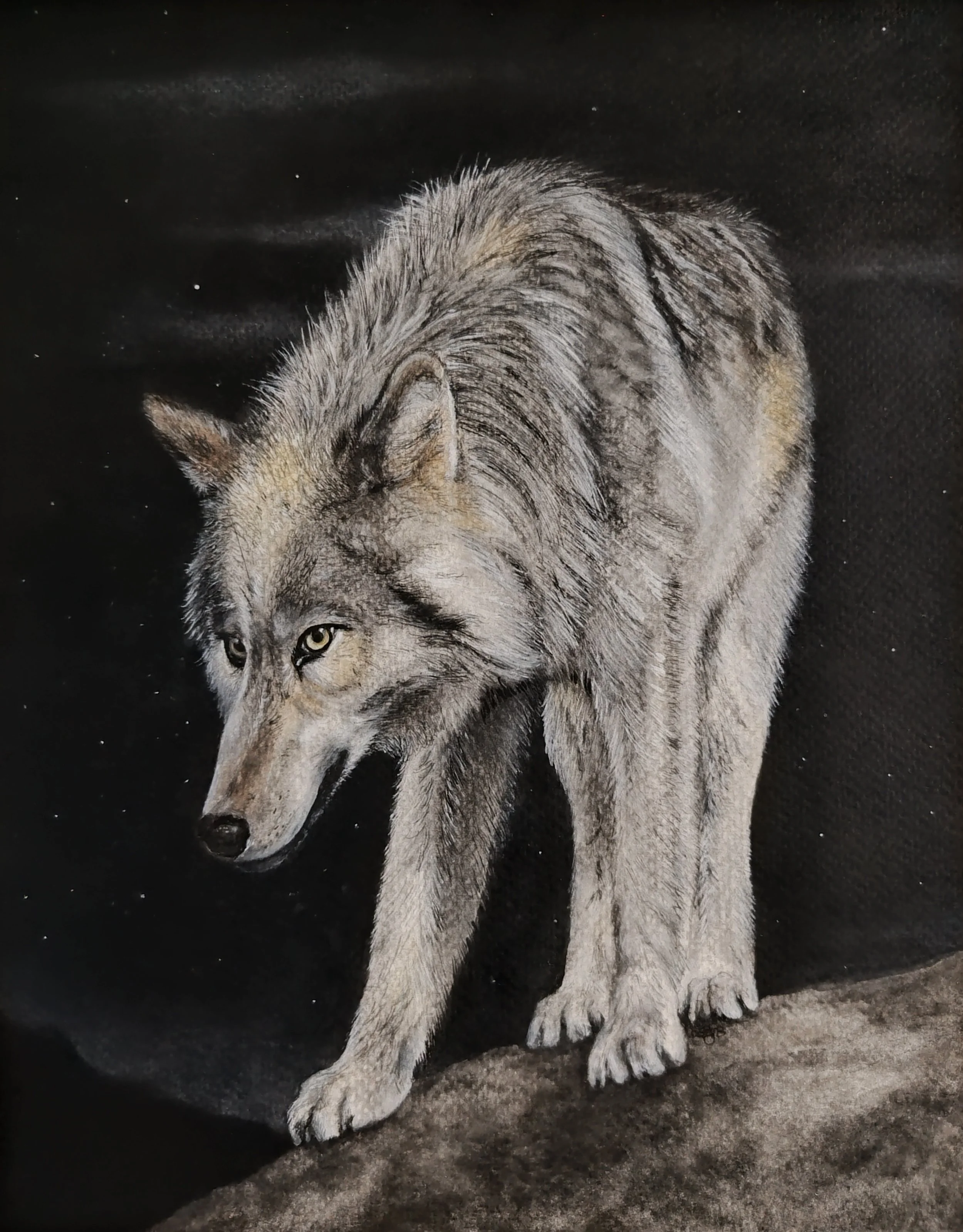 Branney_Lisa_Lone Wolf_framed.jpg