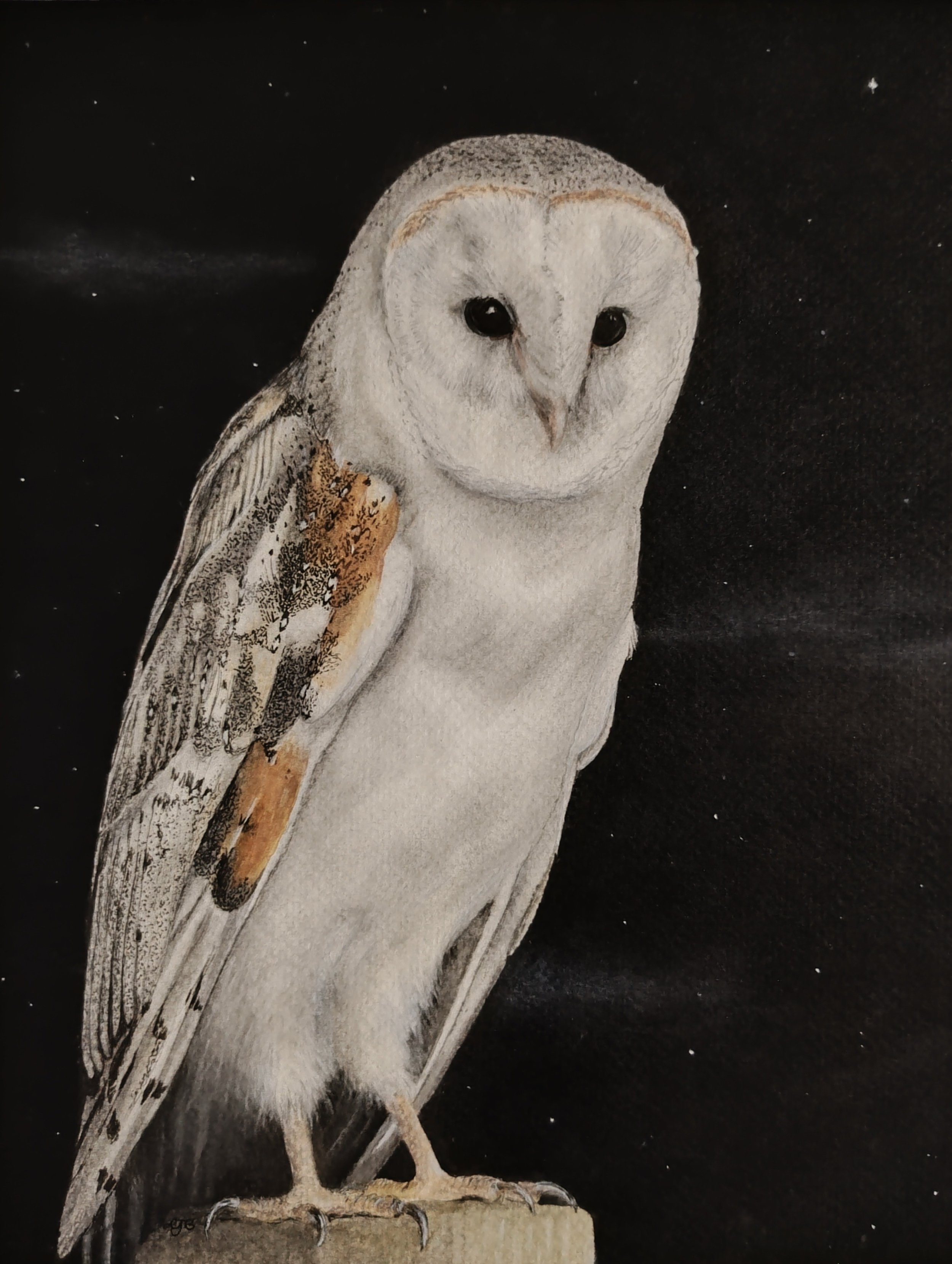 Branney_Lisa_Night Owl_framed.jpg