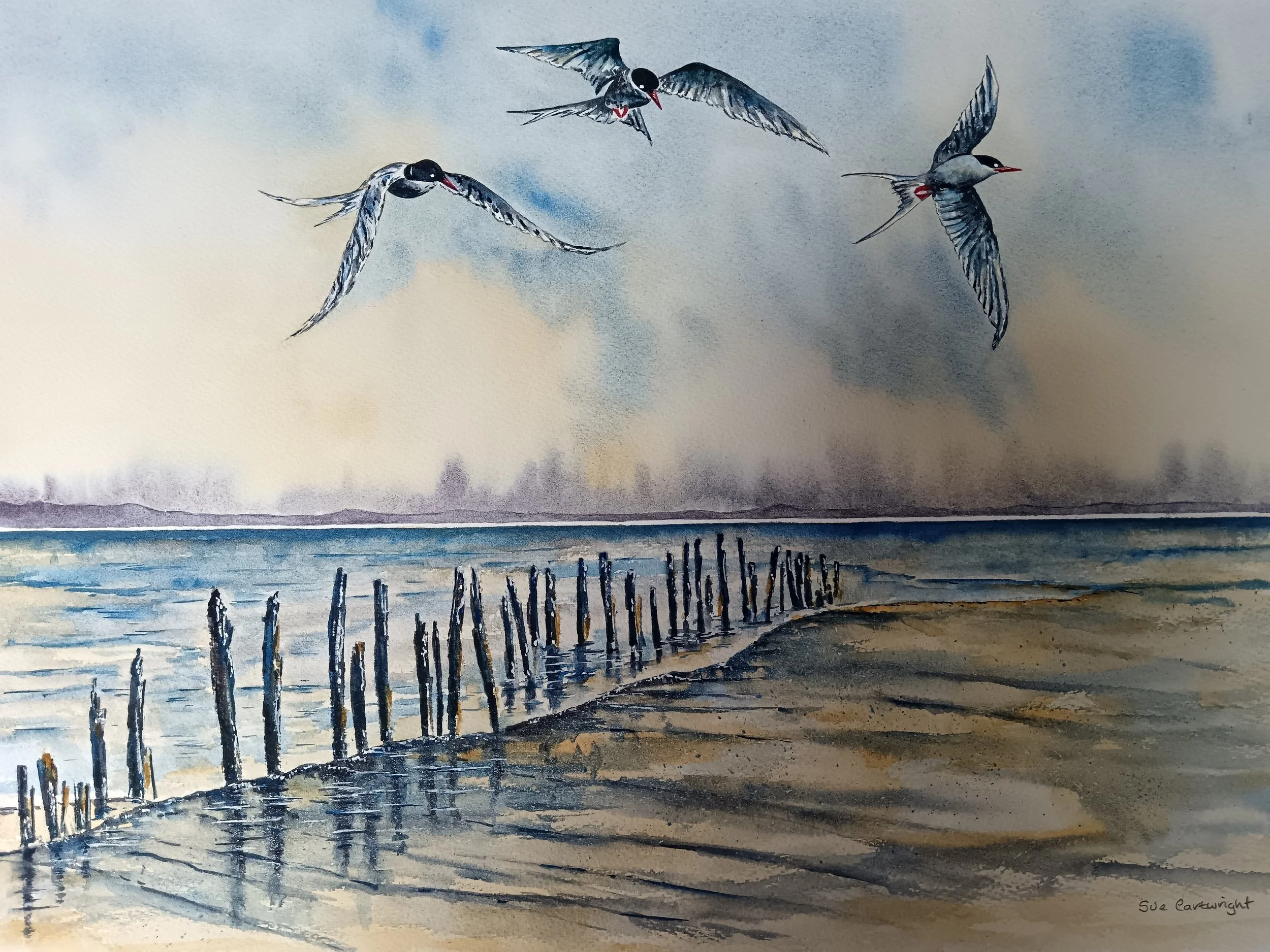 Cartwright_Sue_Flight in Motion_framed.jpg