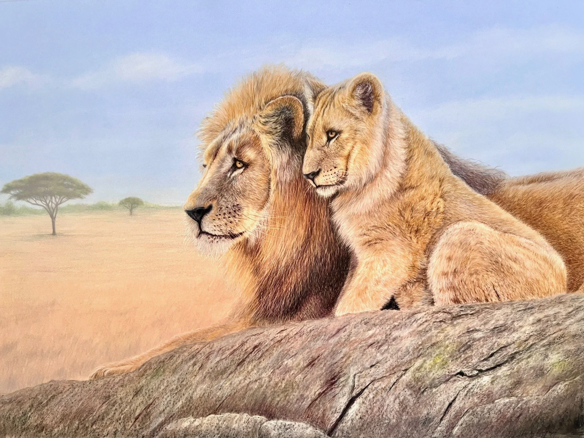 Chapman_Karen_Lions_Savanna_Siesta_Framed.jpg