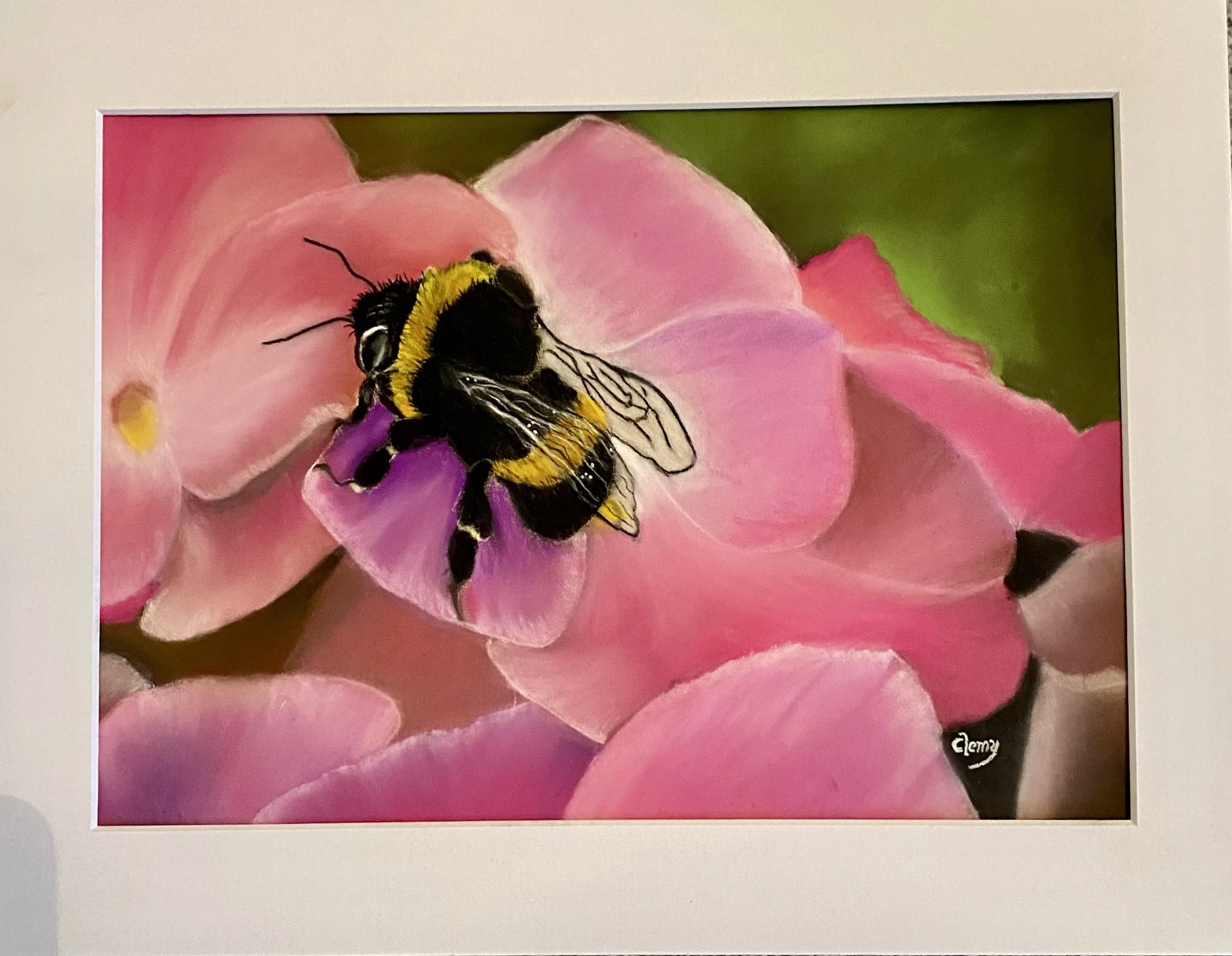 Cleaton_Clemy_Wings of Summer_framed.jpg