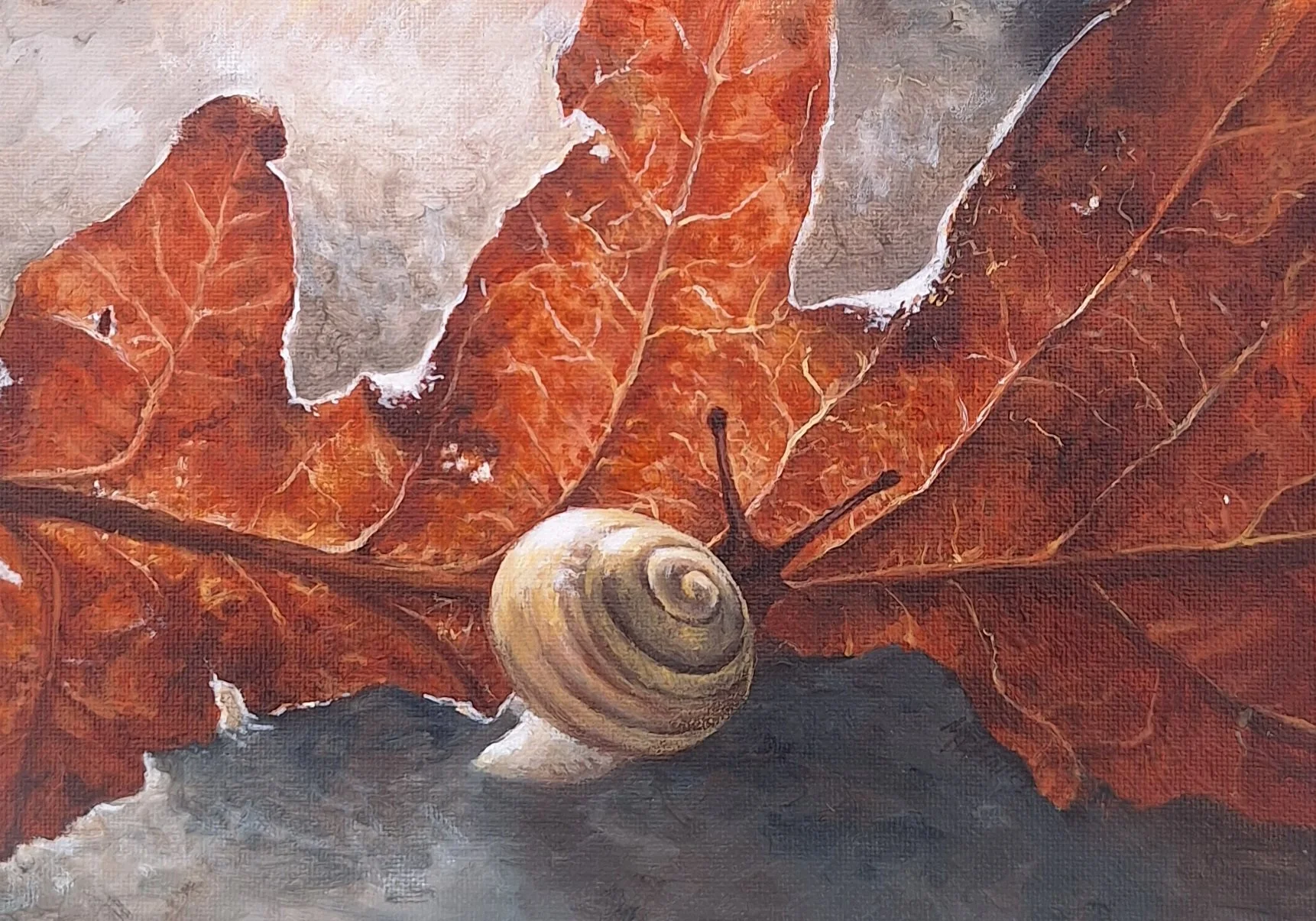 Downham_Madeline_Garden Snail in Autumn_framed.jpg