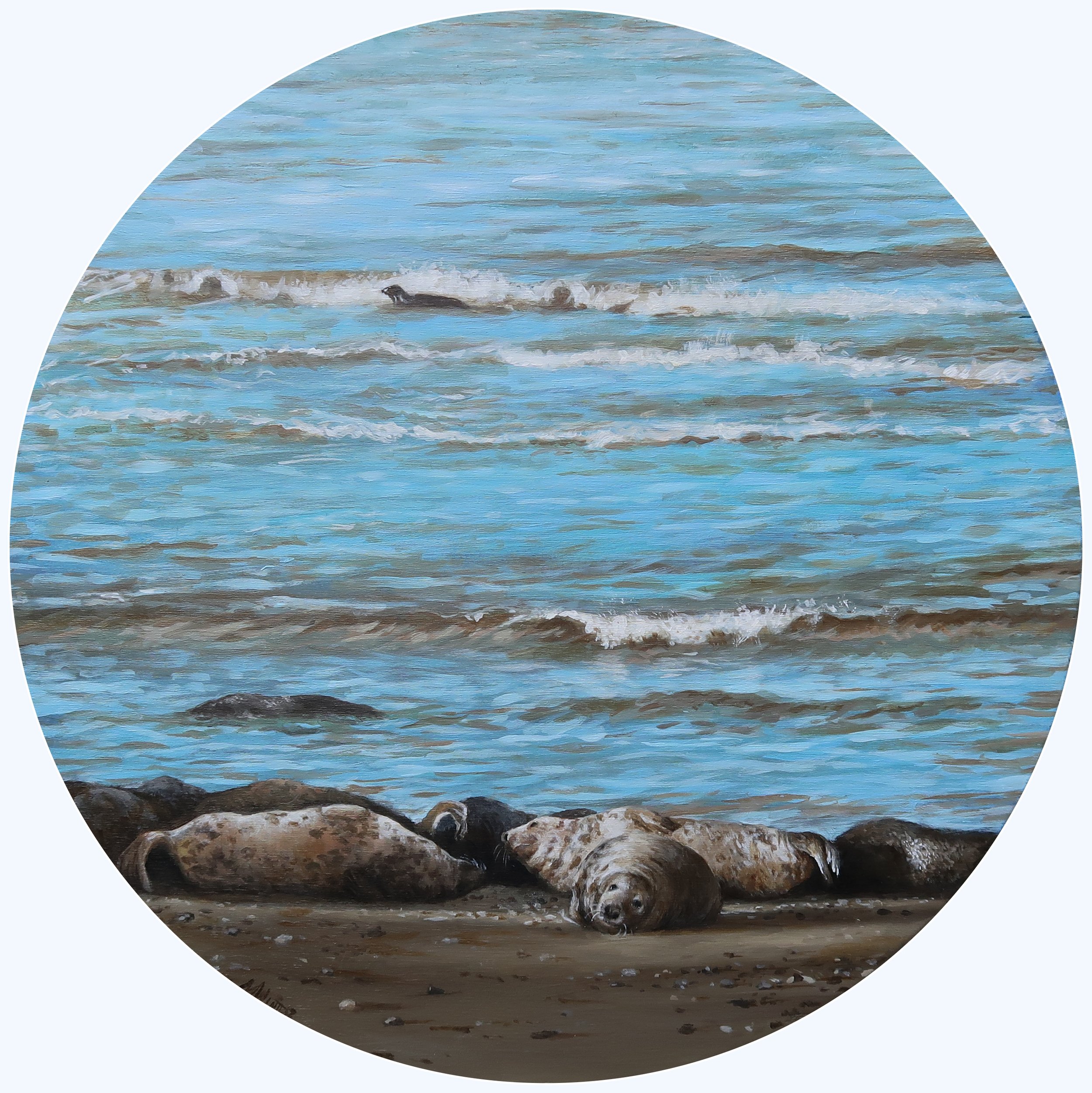 Downham_Madeline_Grey Seals in January_framed.JPG
