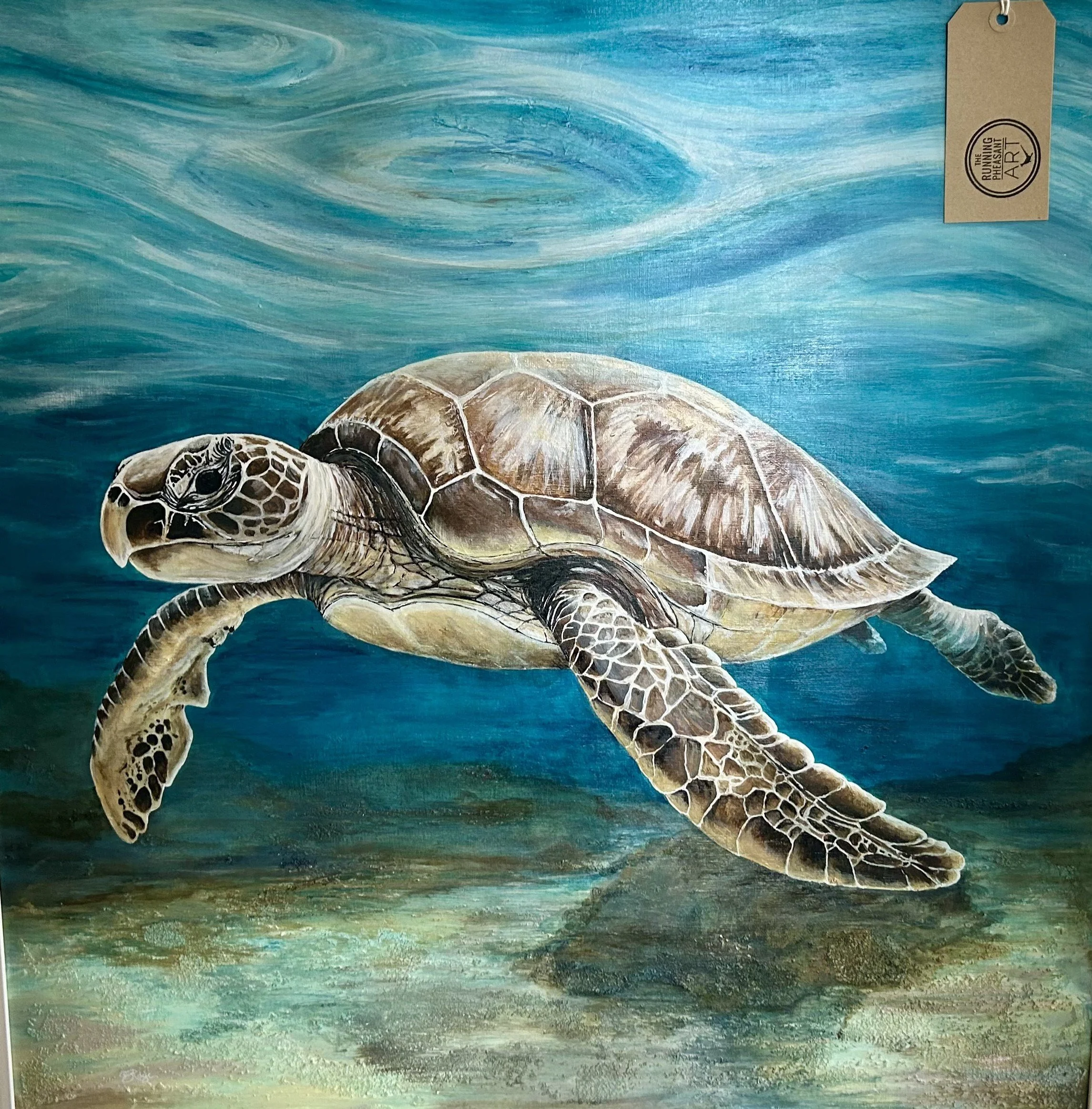 Edge_Dawn_Sun Gilded Turtle in the Deep_framed.jpg