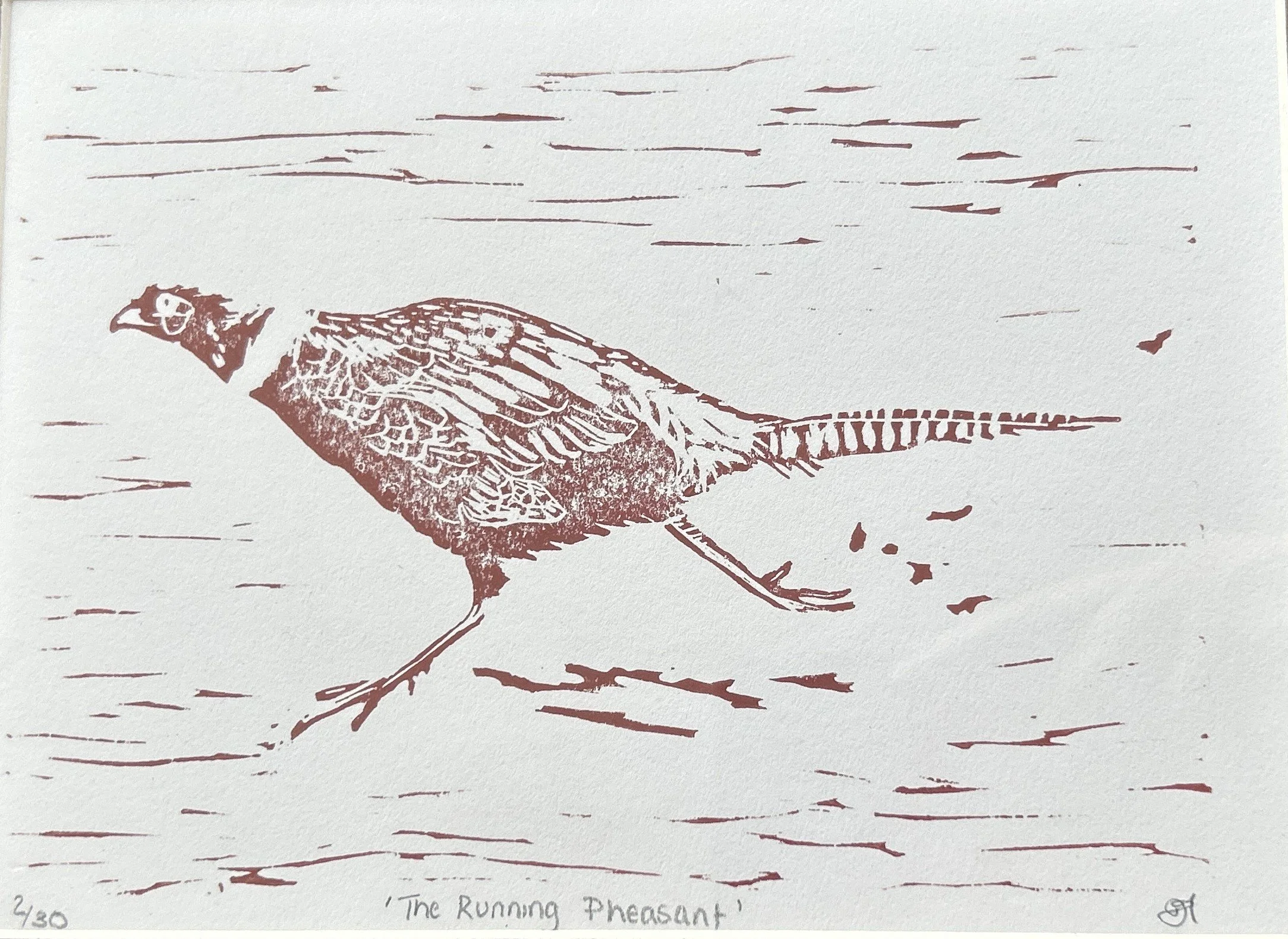 Edge_Dawn_The Running Pheasant_framed.jpg