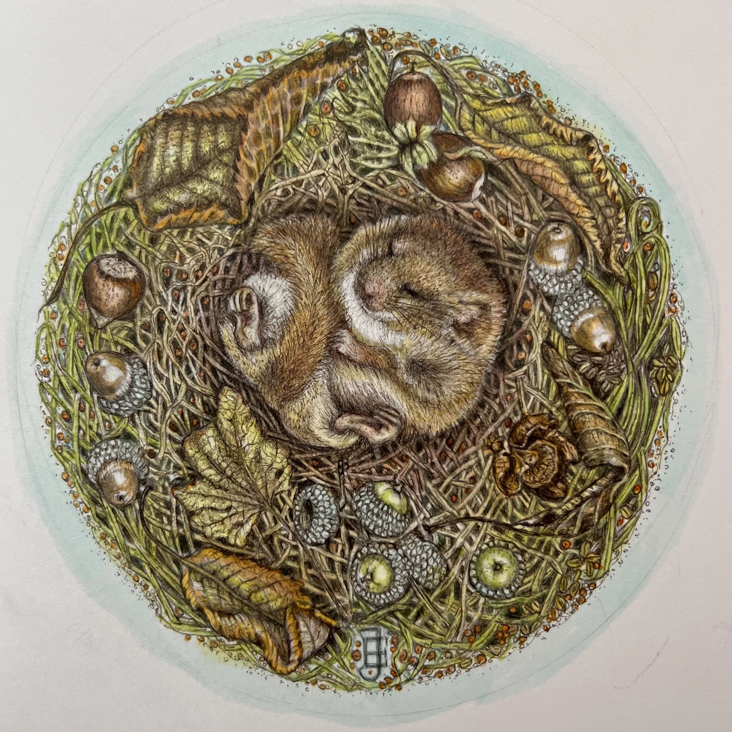 Eyett_Julie_Dozy Dormouse_framed.jpg