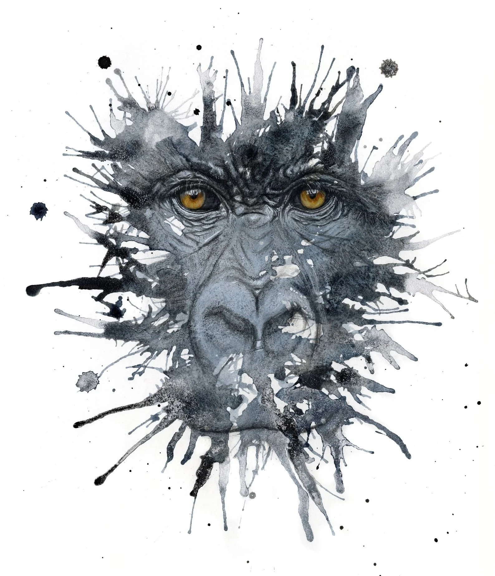 Forgie_Clare_Staring extinction in the face_framed.jpg