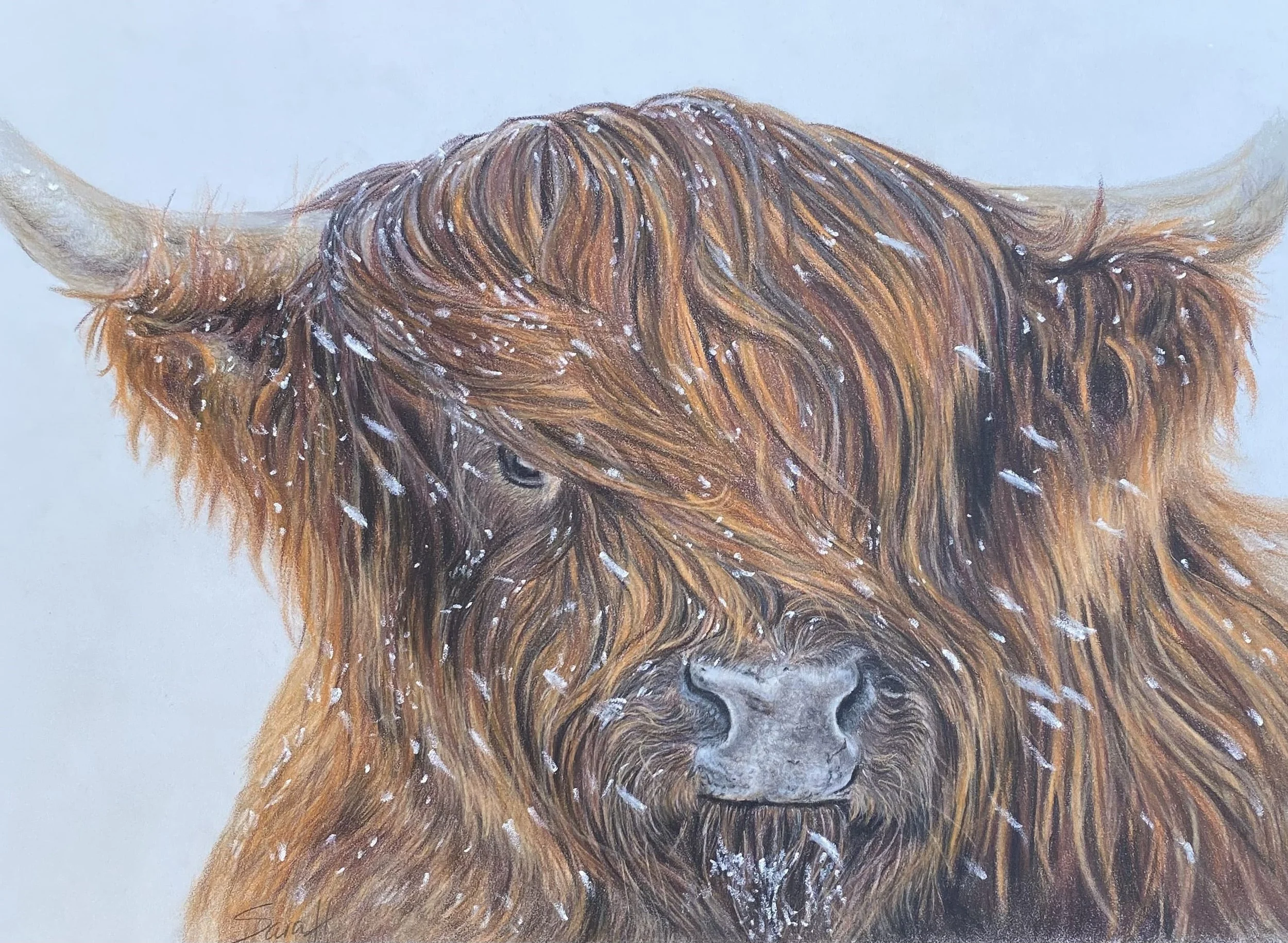 Hempsall_Sara_Coo in the Snoo_framed.jpg