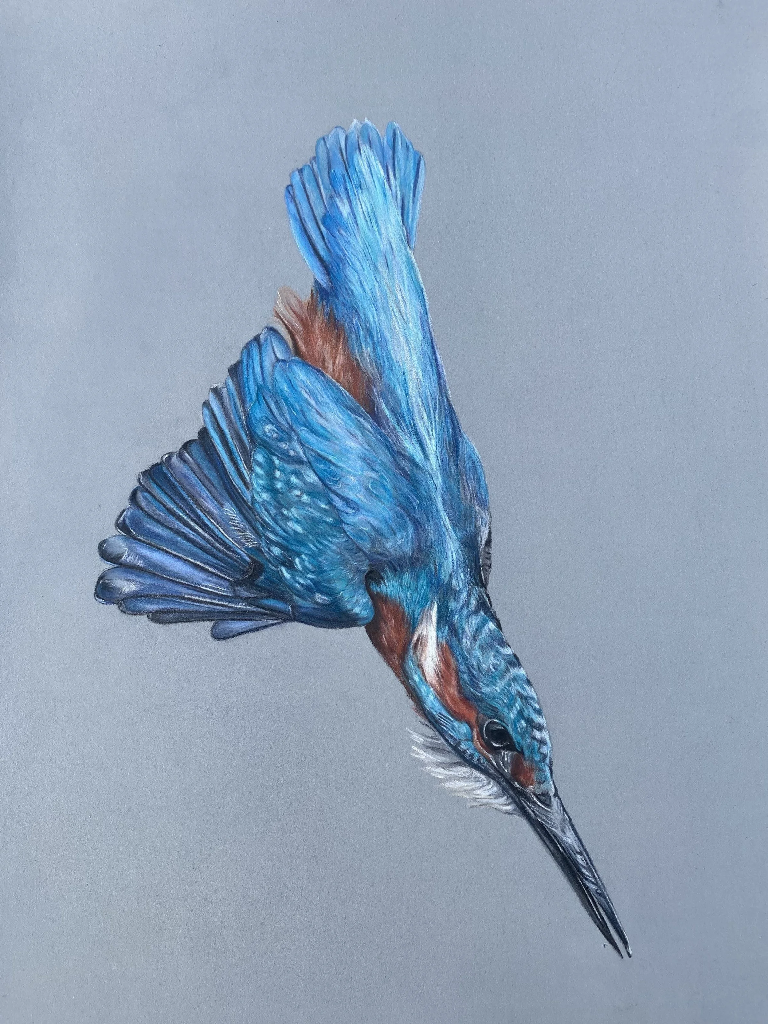 Hempsall_Sara_The Strike_framed.jpg