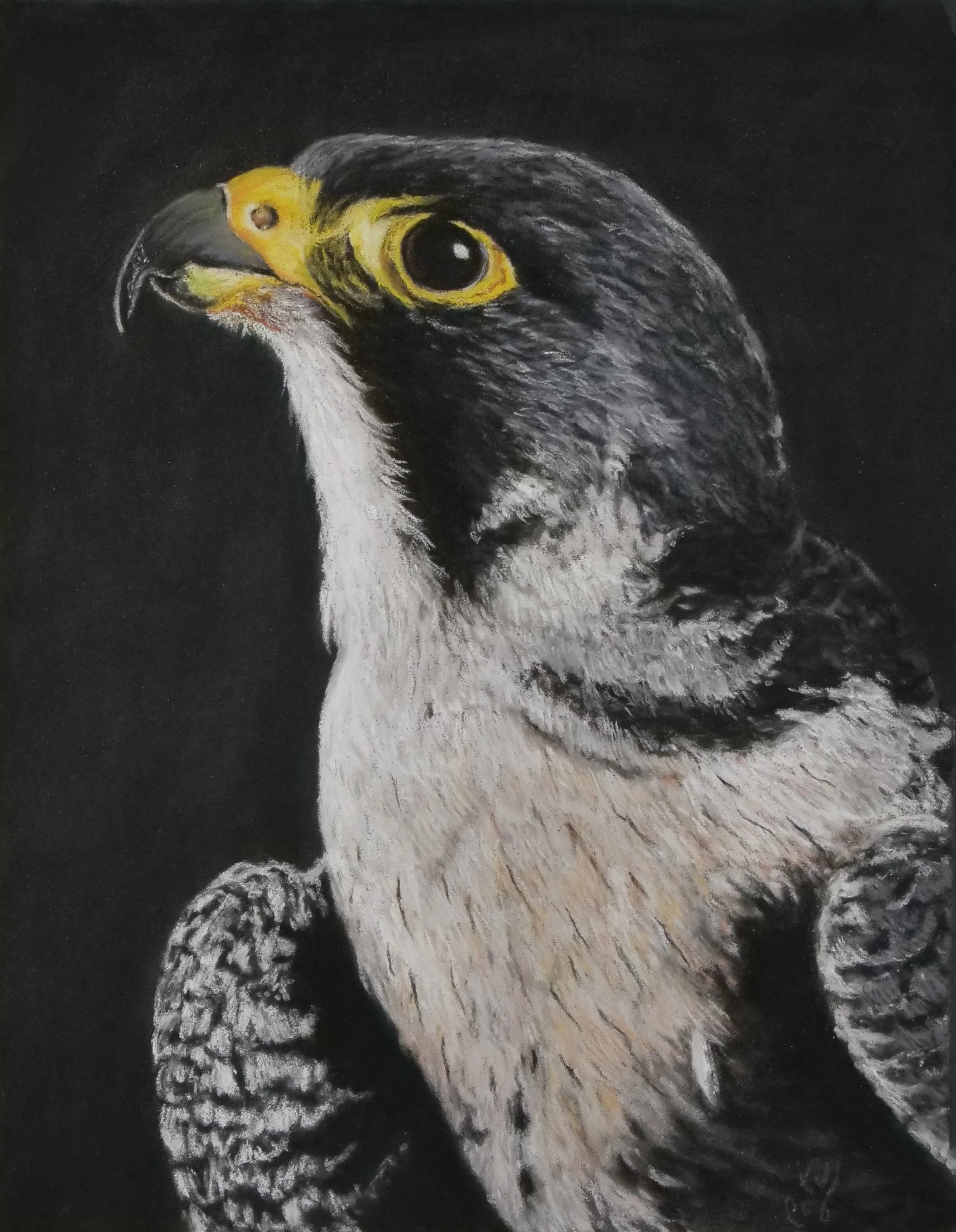 Kutas_Cate_Whisper to the Wind_framed.JPG