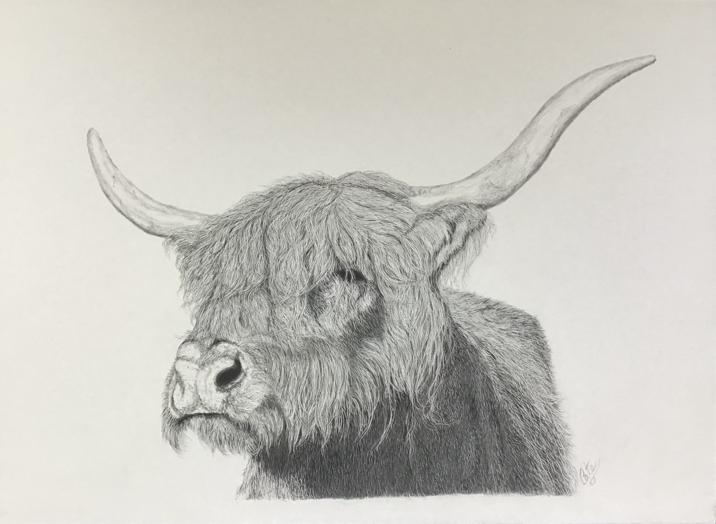 Kutas_Cate_Wild and Woolly_framed.jpg